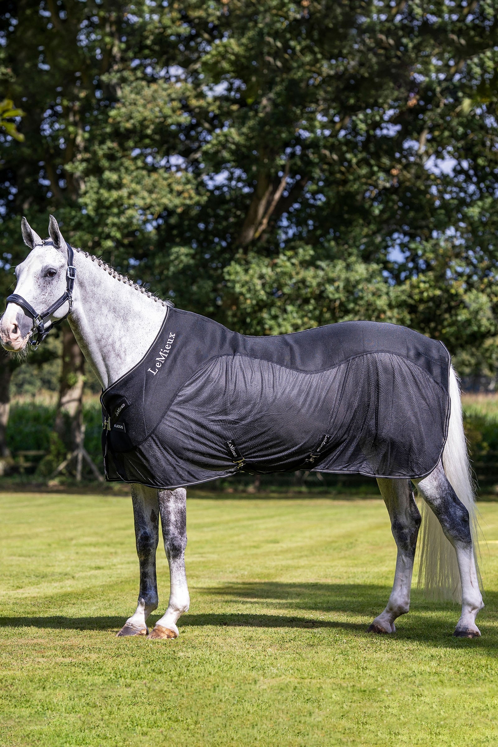 LeMieux Kudos Mesh Sports Cooler Rug Horse Rugs