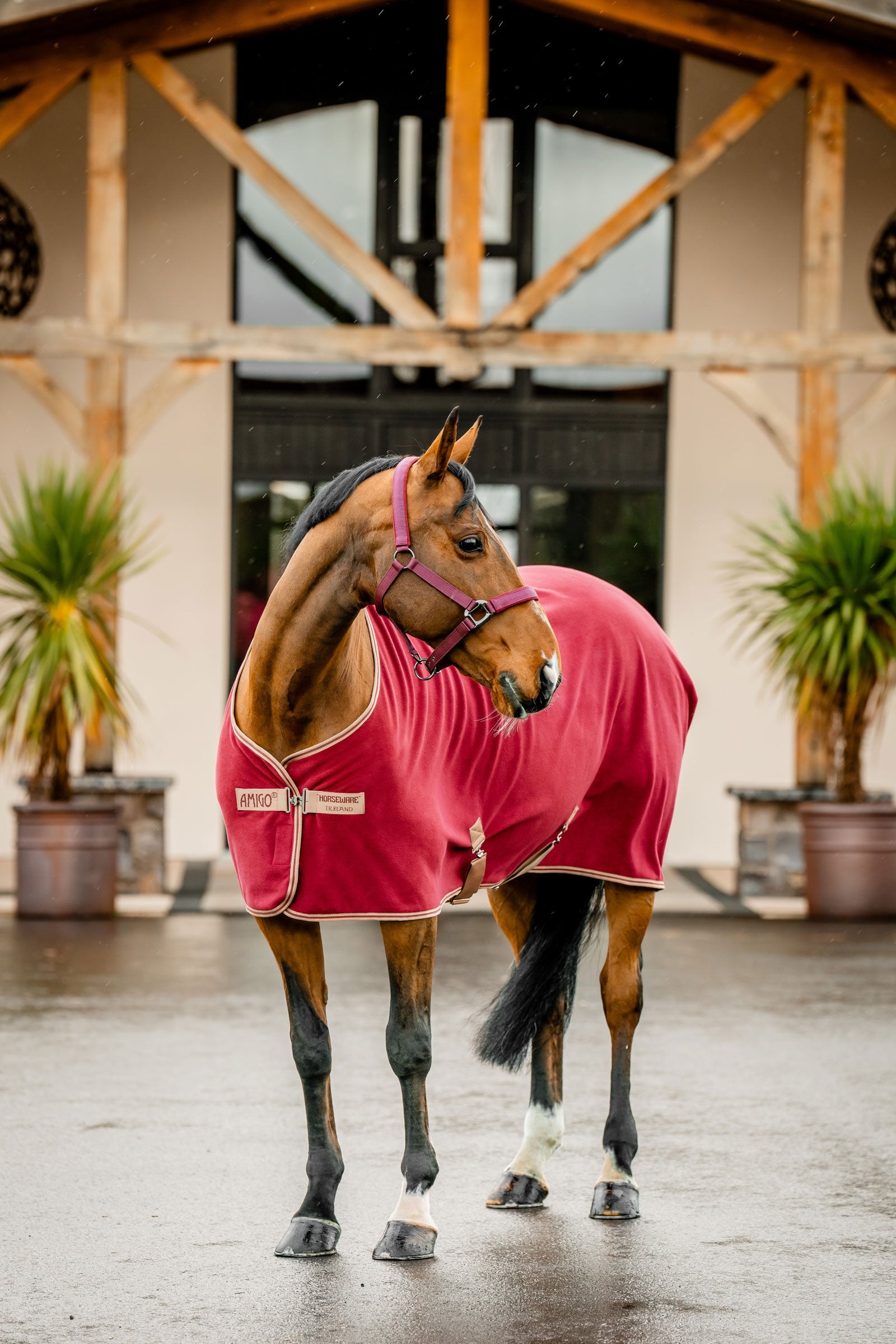 Horseware Amigo Polár Szárító Lótakaró Lótakarók