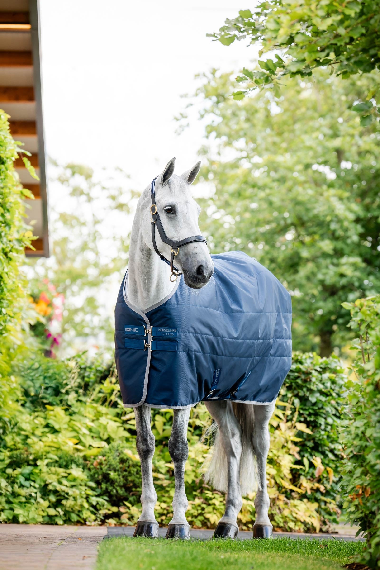 Horseware Ionic Therapy Istálló Takaró, 50g Lótakarók