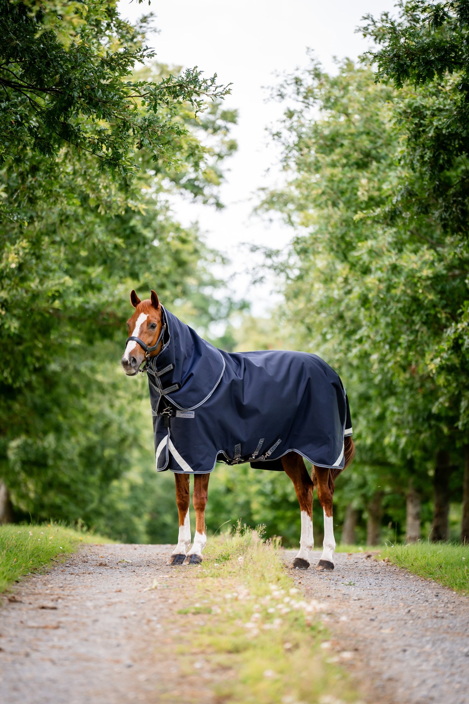 Horseware Rambo 1680D Plus Vario Layer kültéri takaró, 250 g Lótakarók