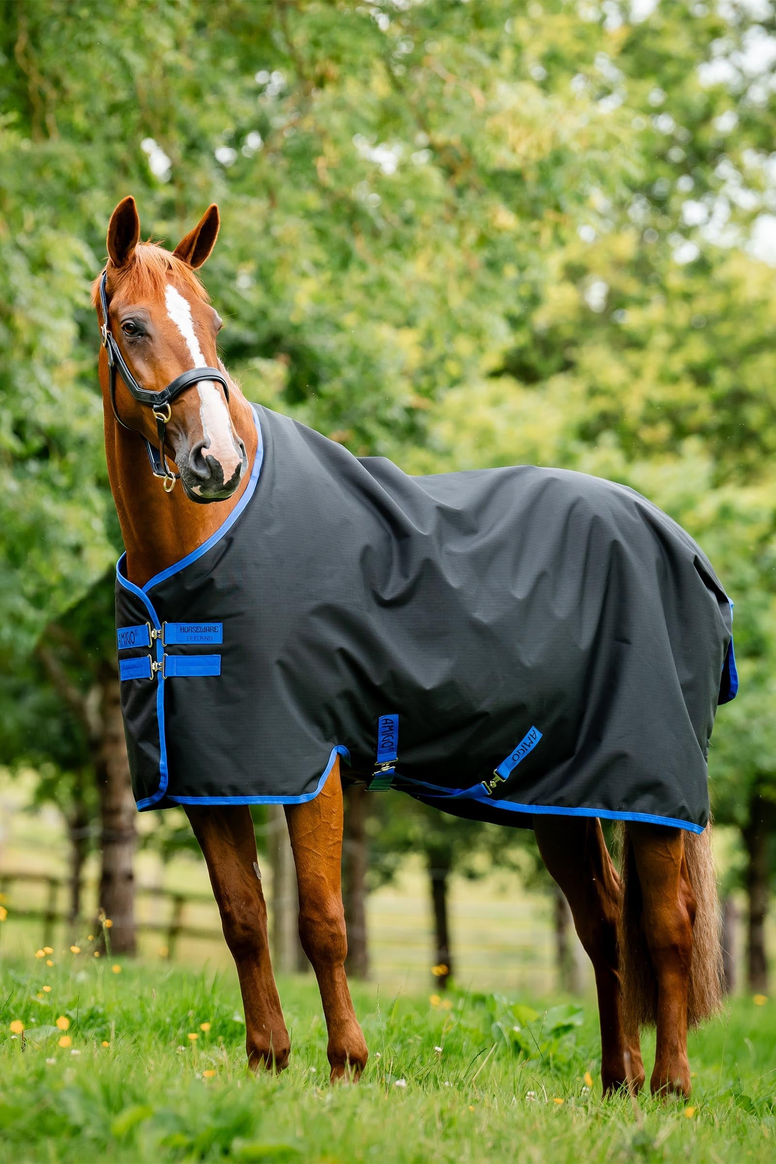 Horseware Amigo Ripstop 900D kültéri takaró polárbéléssel, 50 g Lótakarók