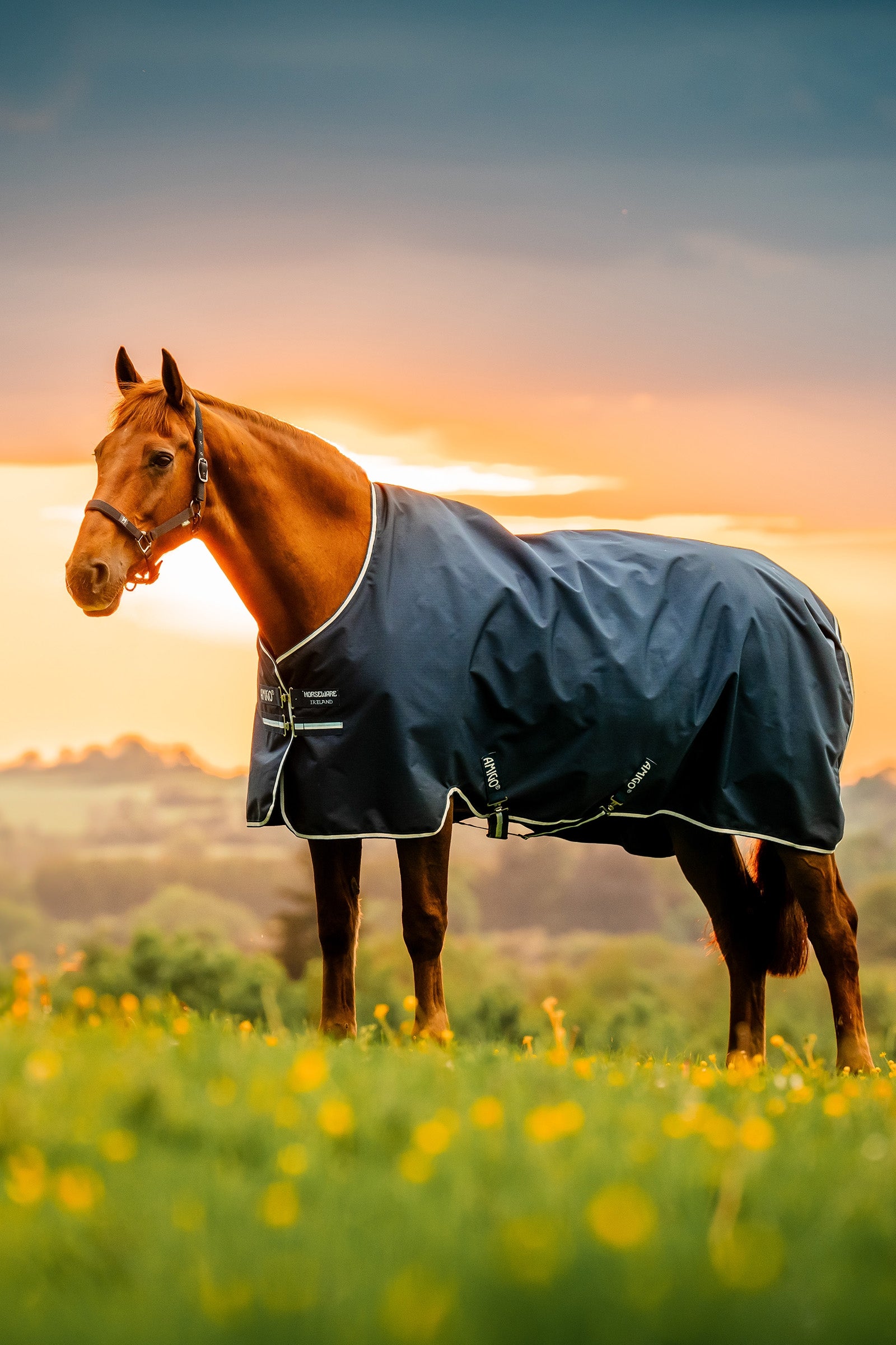 Horseware Amigo Ripstop 900D Fleece Lined Turnout Rug, 50 g Horse Rugs