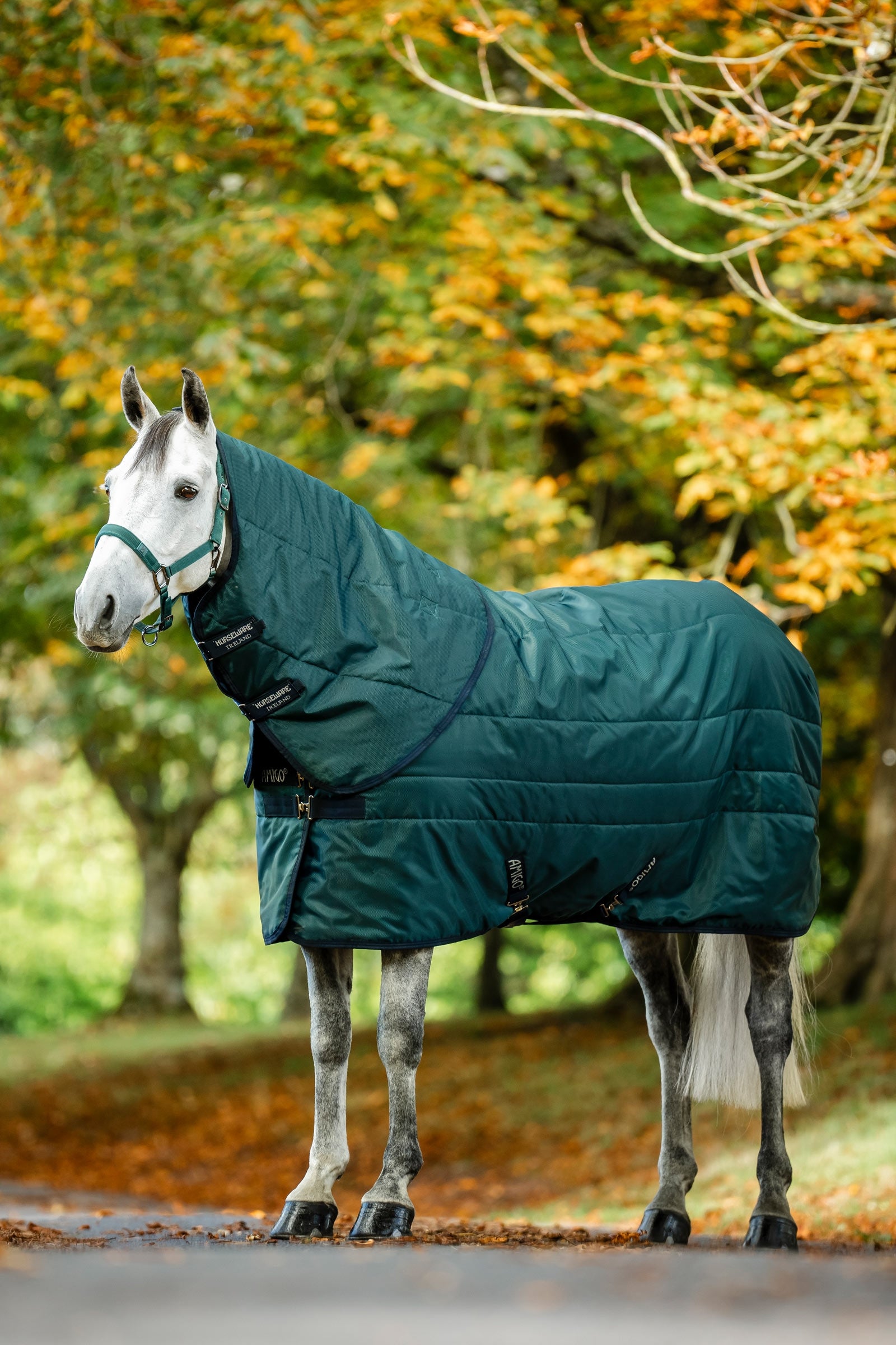 Horseware Amigo Ripstop Insulator Istálló Takaró 50g Lótakarók