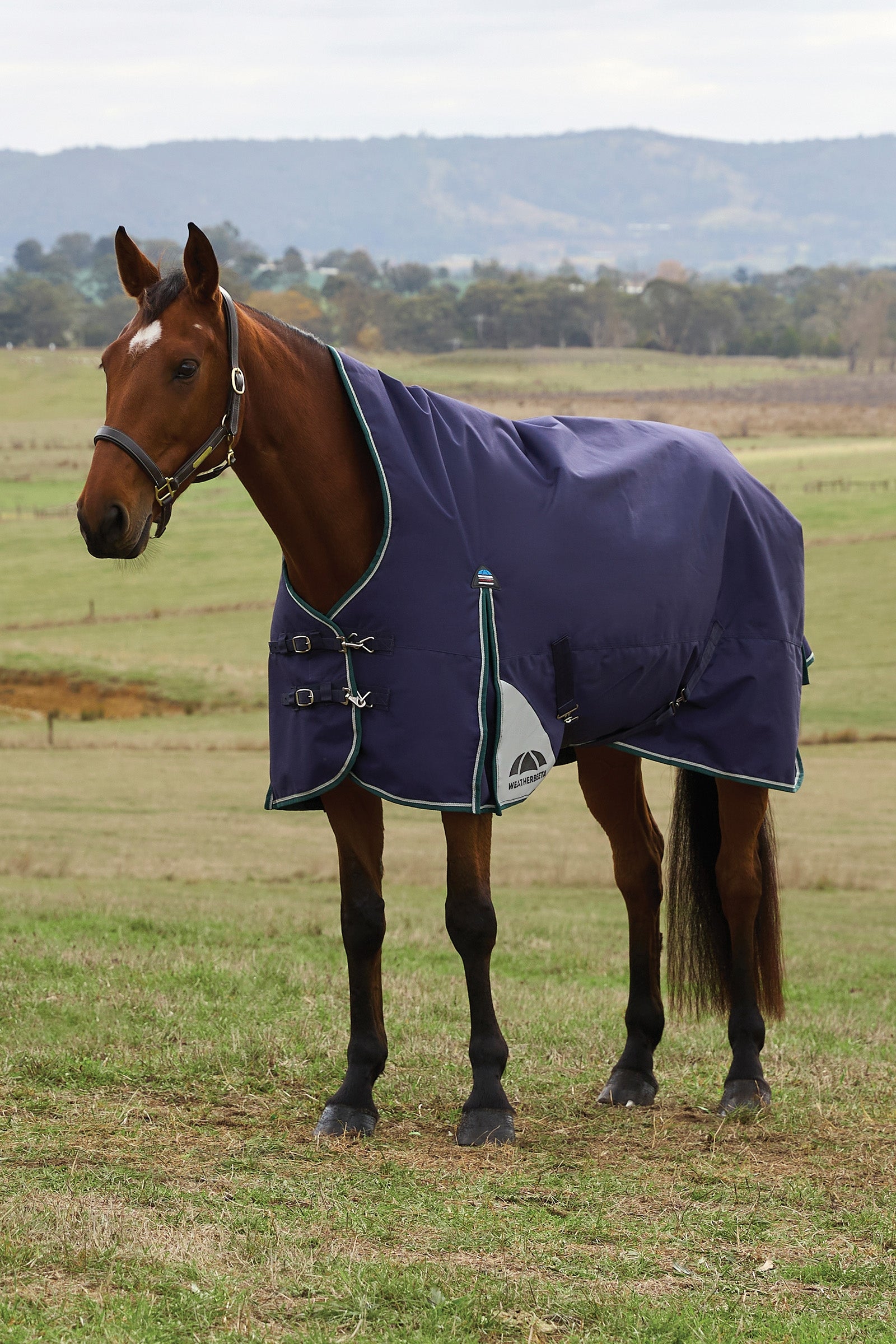 Weatherbeeta ComFiTecPlus Dynamic Turnout High Neck 100G Lótakarók
