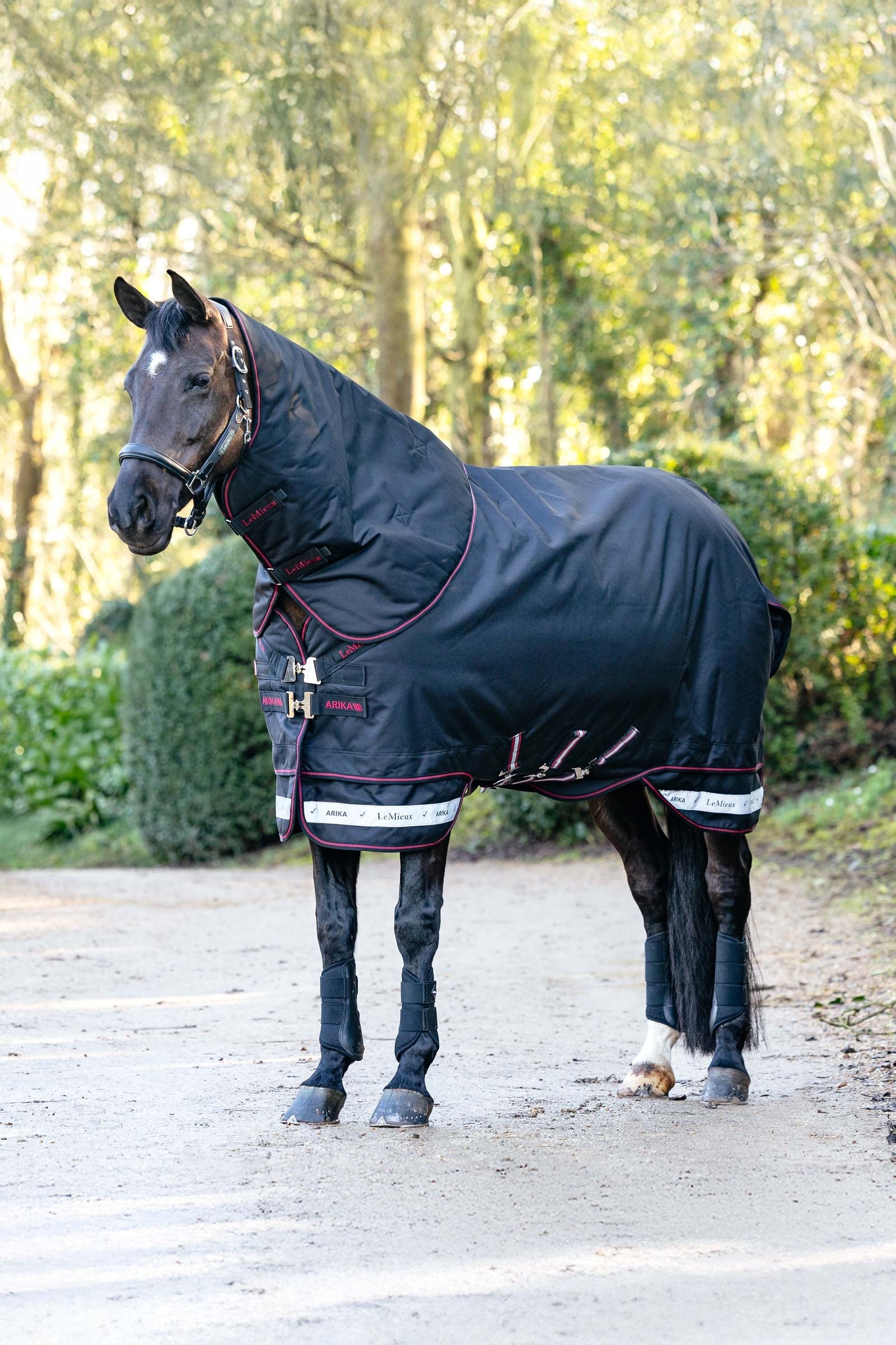 LeMieux Arika Storm-Tek Turnout Rug With Detachable Neck, 100 g Horse Rugs
