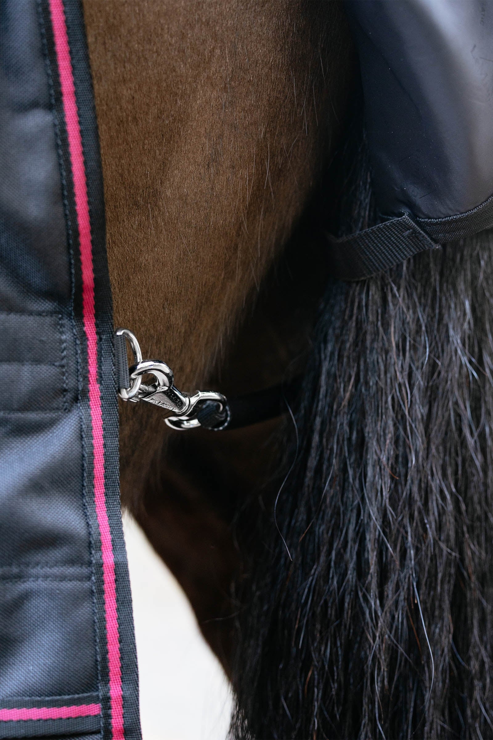 LeMieux Arika Storm-Tek Turnout Rug With Detachable Neck, 100 g Horse Rugs