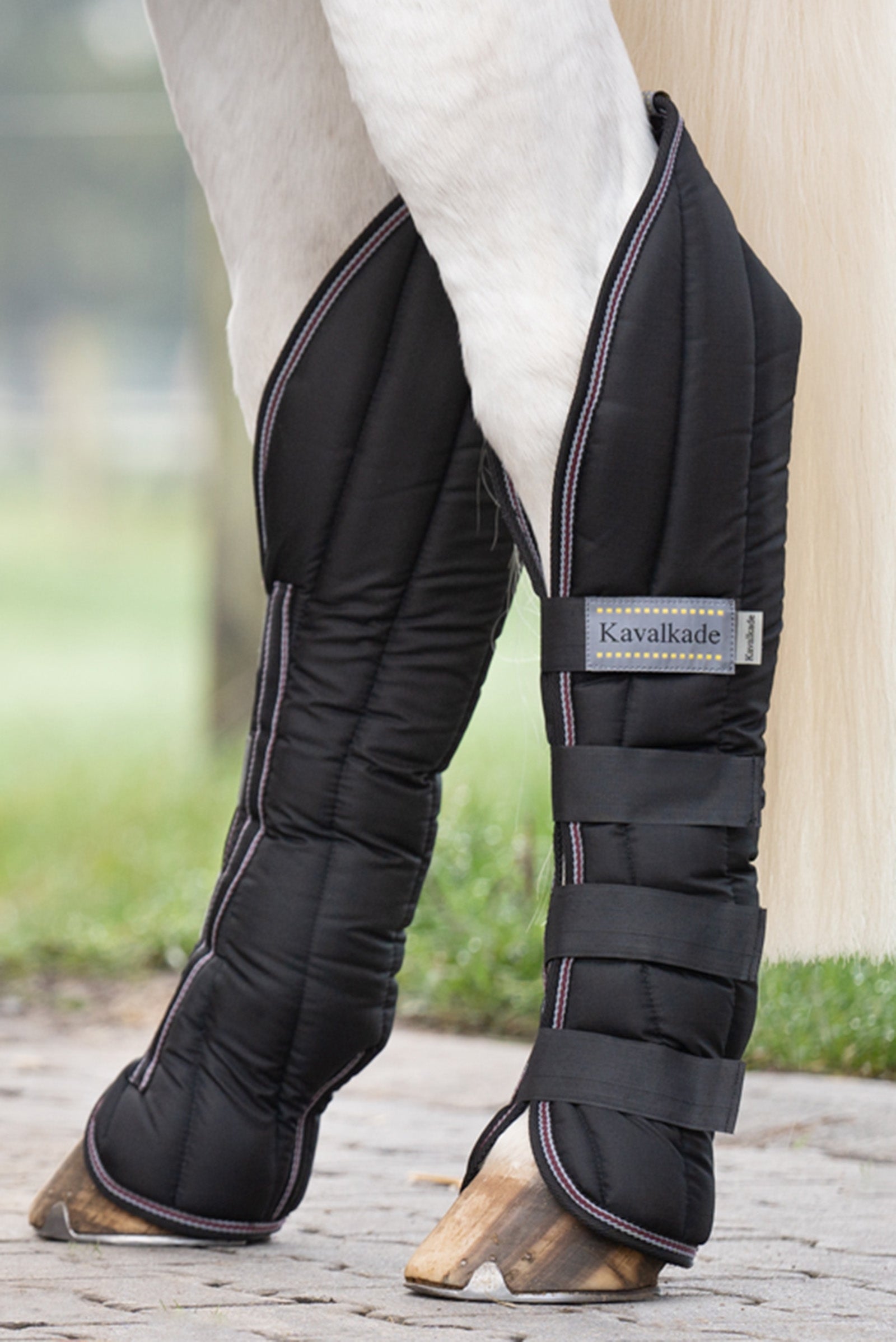 Kavalkade Montreal Travelling Boots (Set of 4) Leg Protection & Hoof Protection for Horses