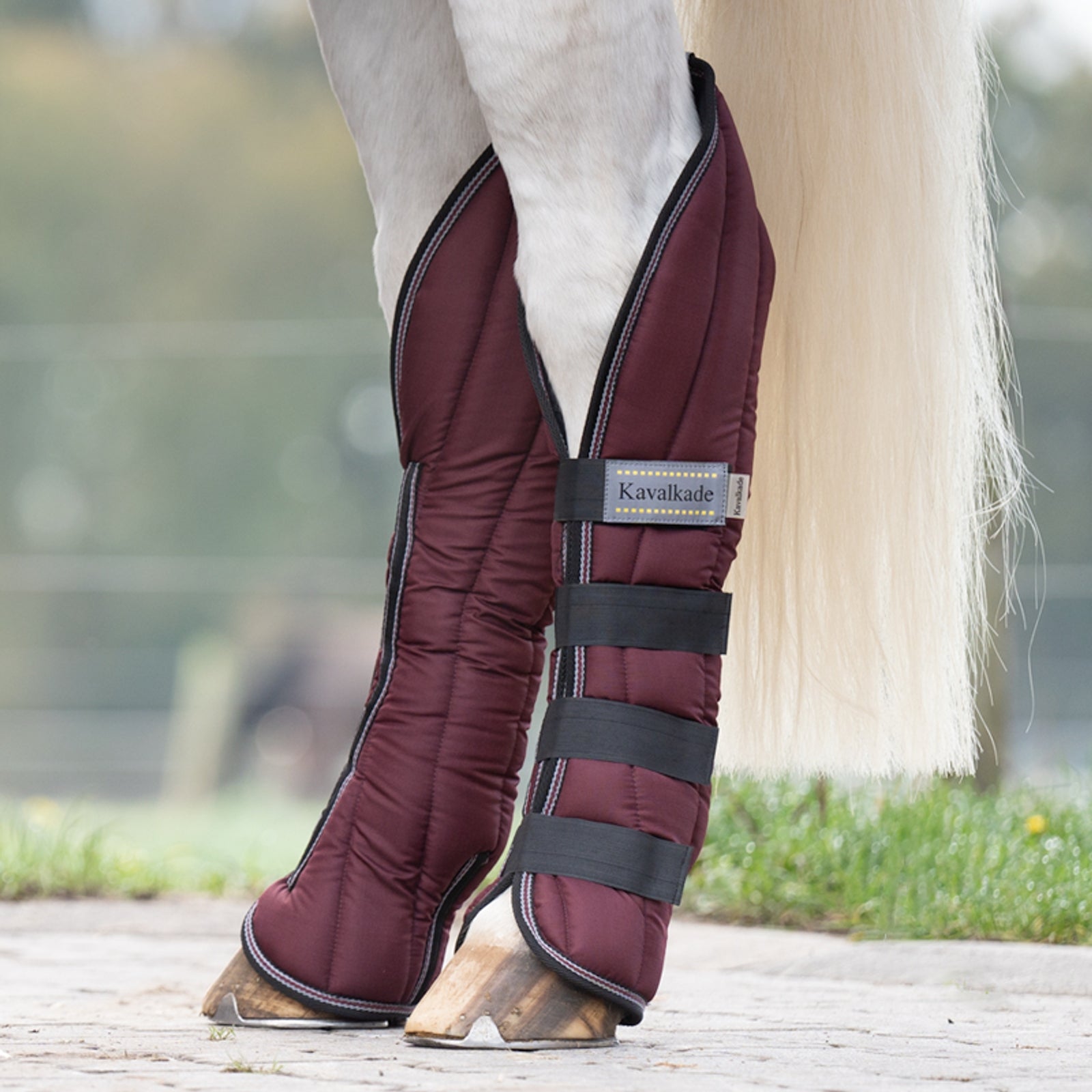Kavalkade Montreal Travelling Boots (Set of 4) Leg Protection & Hoof Protection for Horses