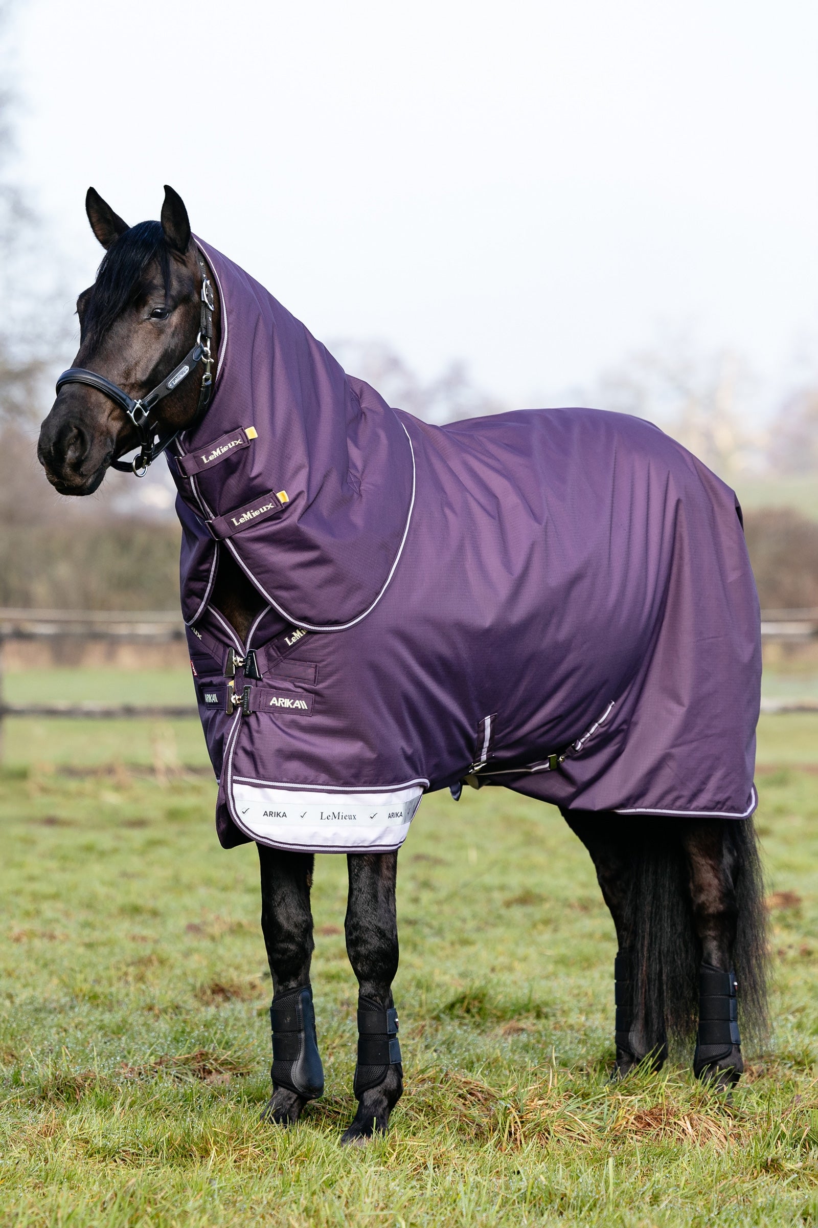 LeMieux Arika Ripstop Turnout Rug With Detachable Neck, 100 g Lótakarók