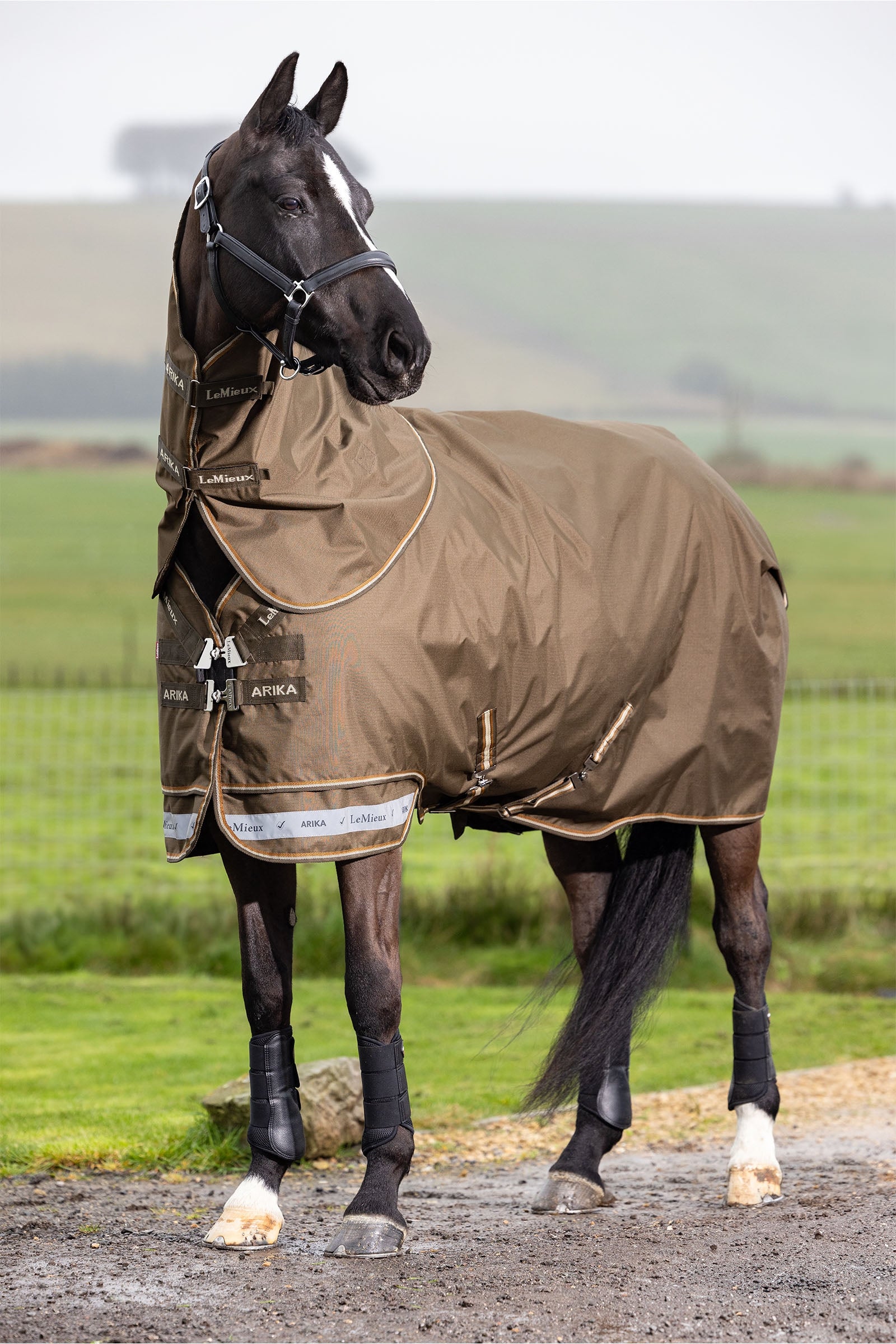 LeMieux Arika Ripstop Turnout Rug With Detachable Neck, 100 g Lótakarók