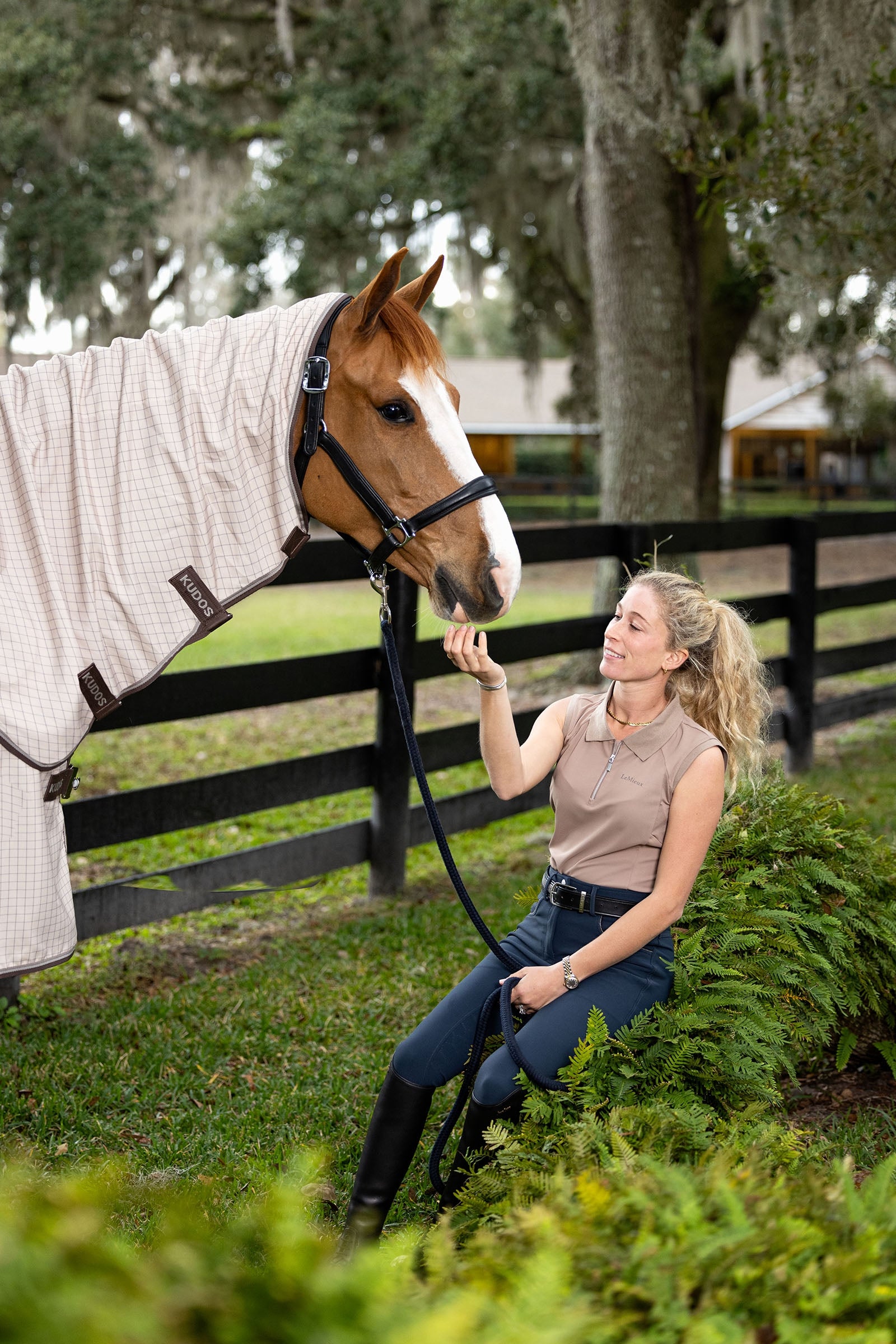 LeMieux Kudos Field Rug Horse Rugs