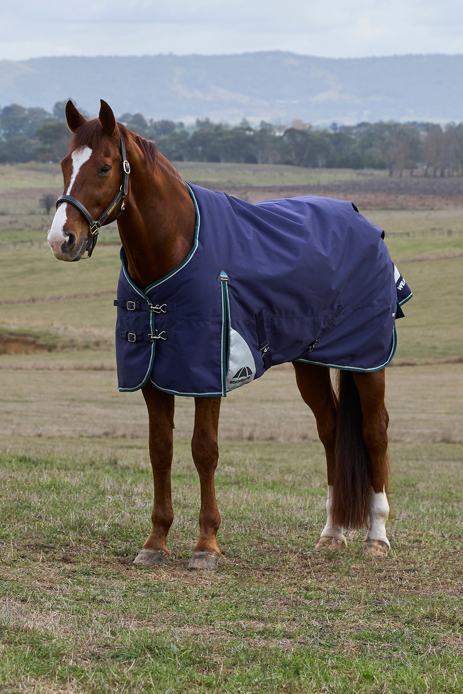 Weatherbeeta ComFiTecPlus Dynamic Turnout Detach-A-Neck 100G Lótakarók