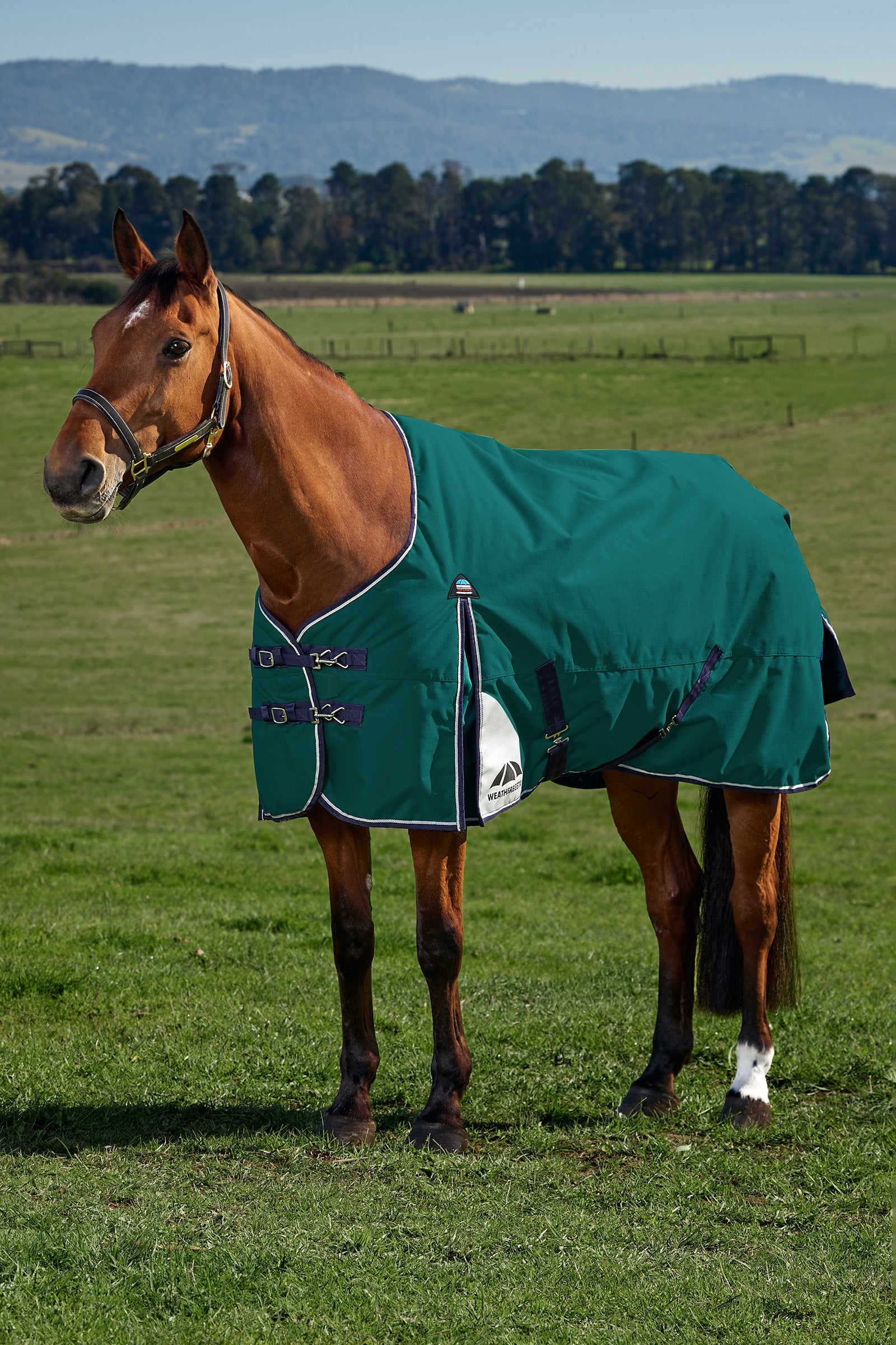 Weatherbeeta ComFiTecPlus Dynamic Turnout Detach-A-Neck 100G Lótakarók
