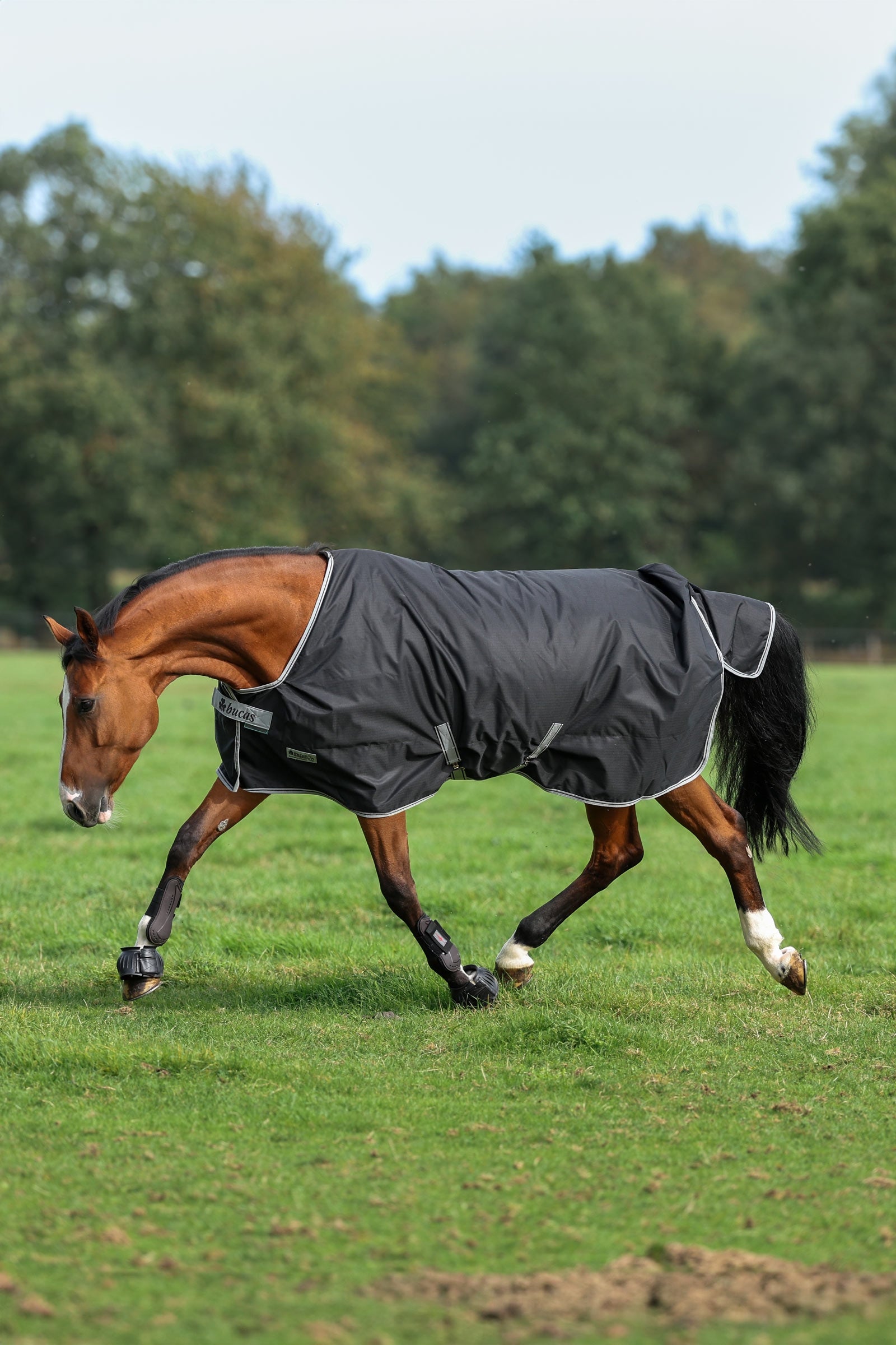 Bucas Anniversary SF Light Rain Turnout Rug, 50g Horse Rugs