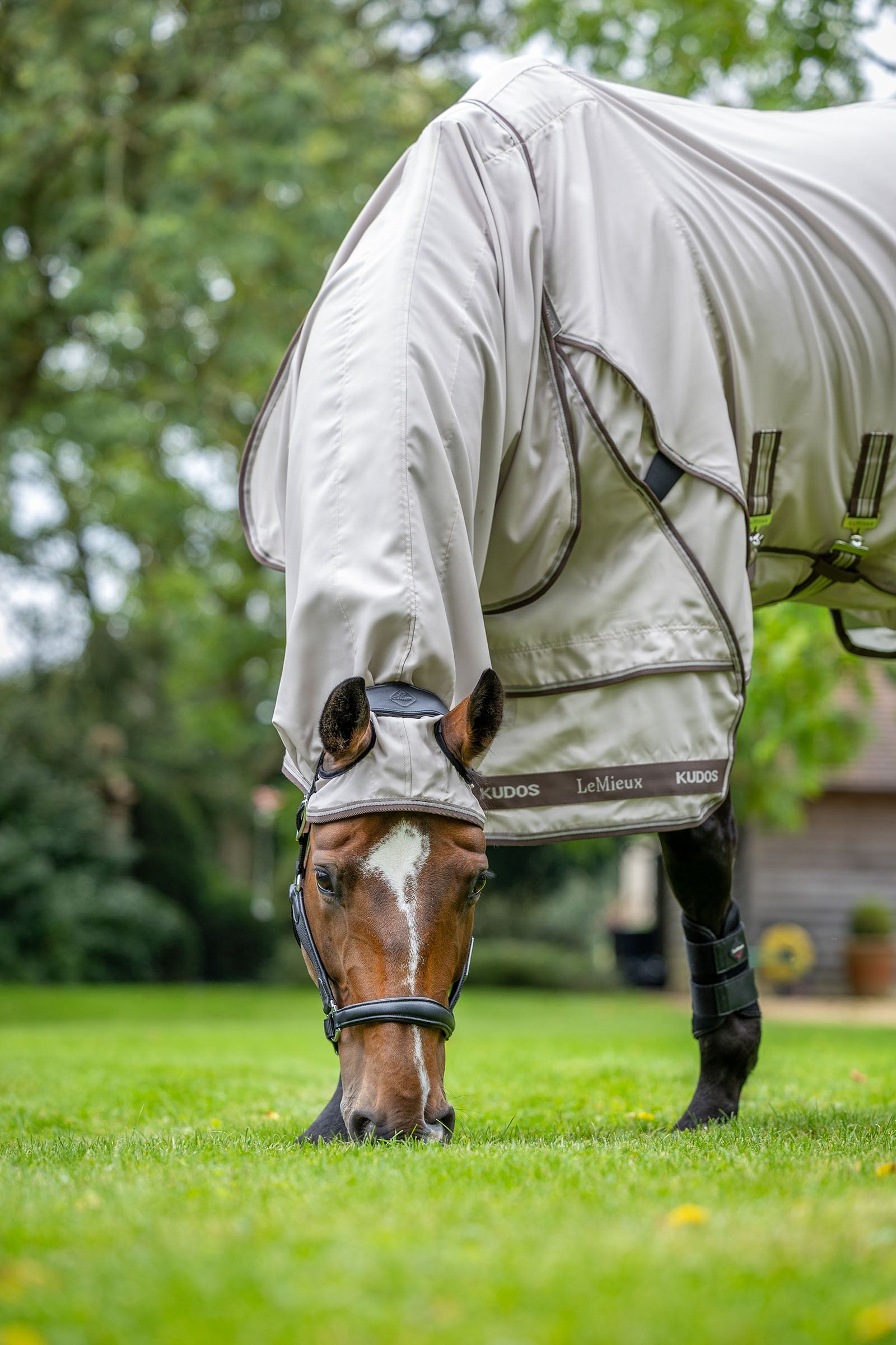 LeMieux Kudos Sweet Itch Rug Horse Rugs