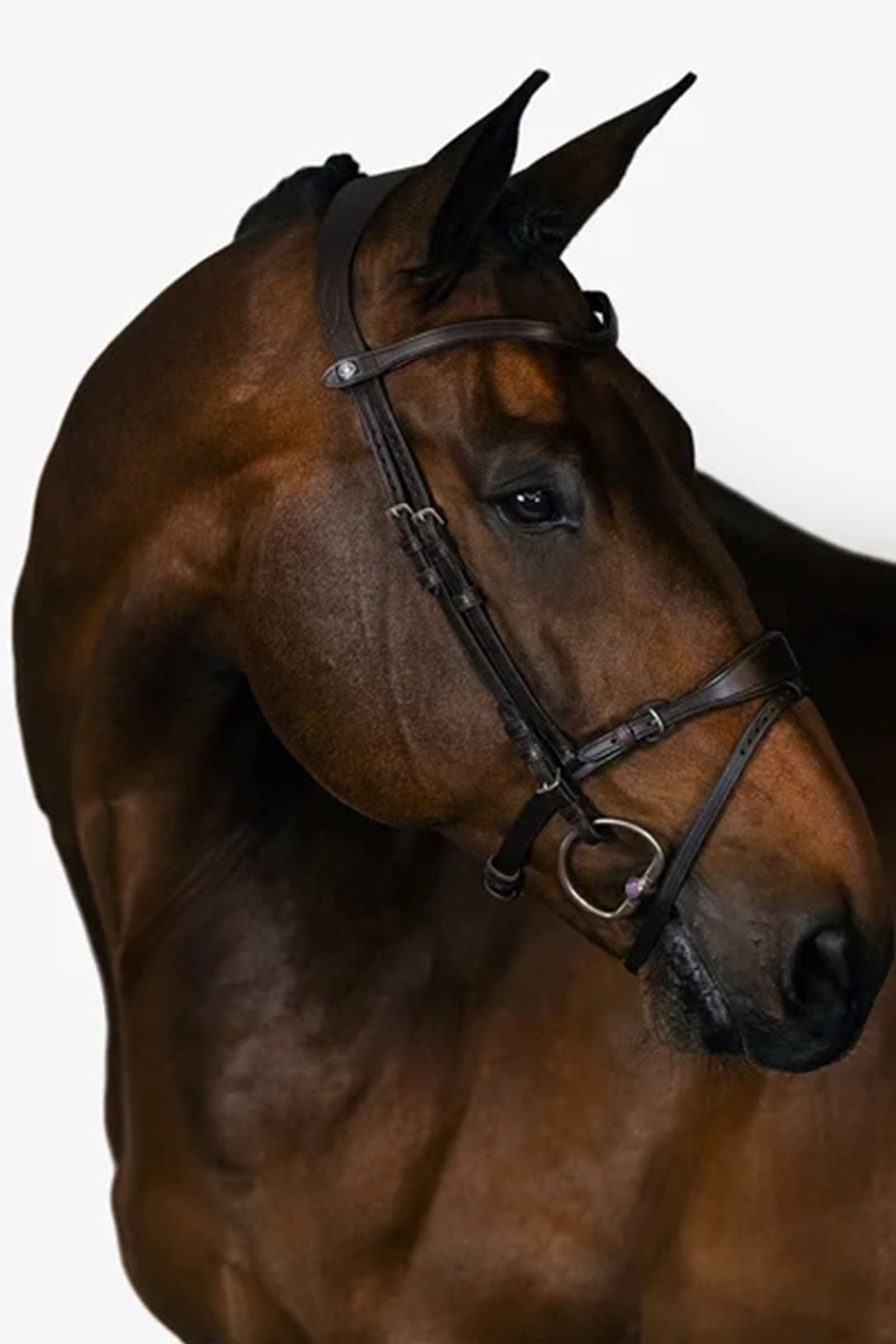 PS of Sweden Bridle, Mary Lou by Henrik von Eckermann Kantárok & Szárak