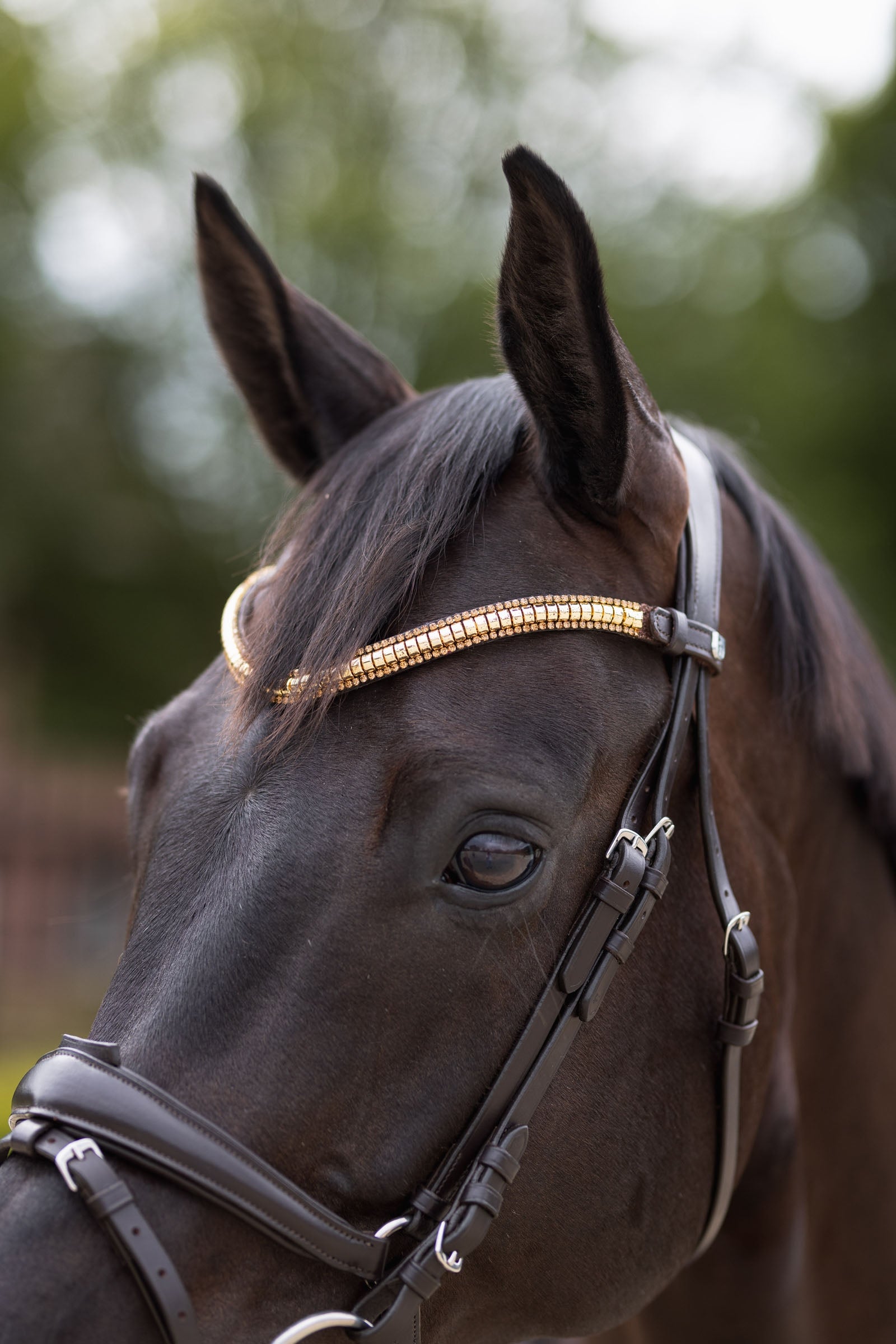 Horze Nature Made Leisure Browband Bridles & Reins