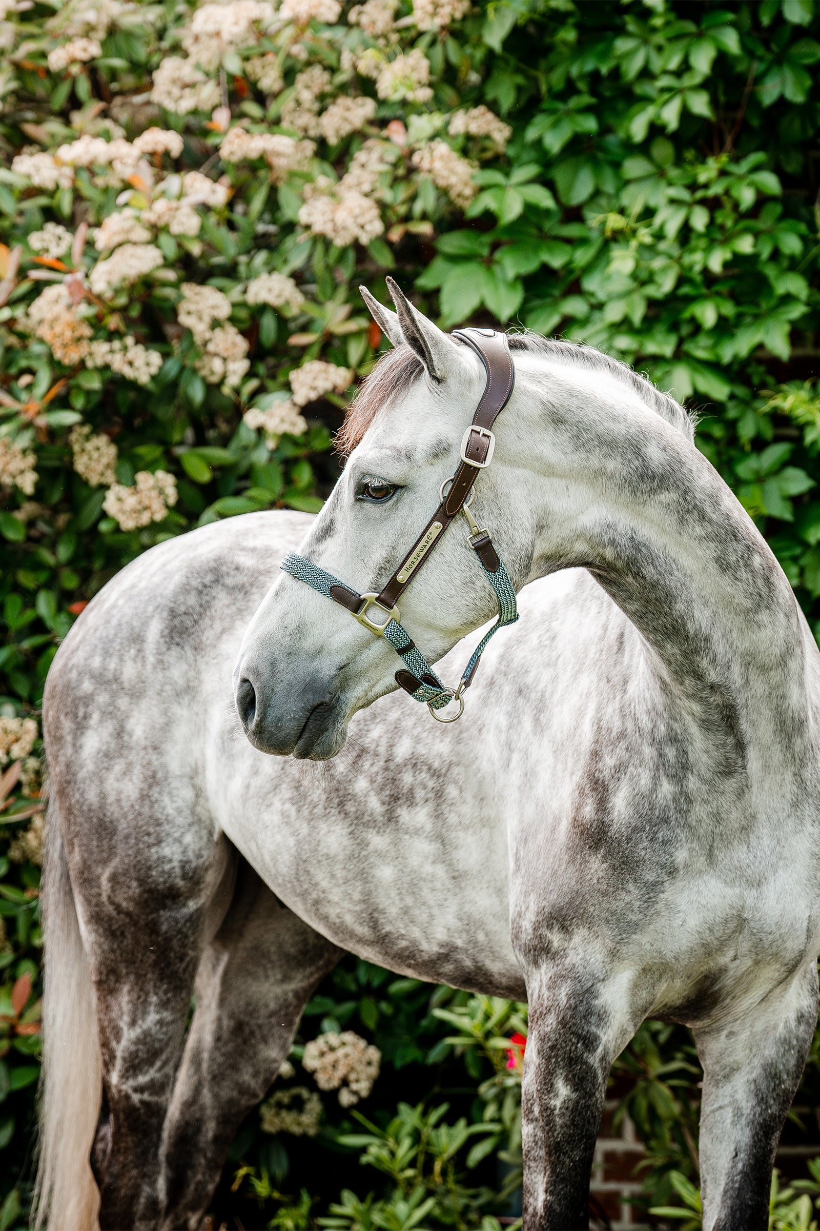 Horseware Signature fonott tartó Kötofékek & Vezetoszárak