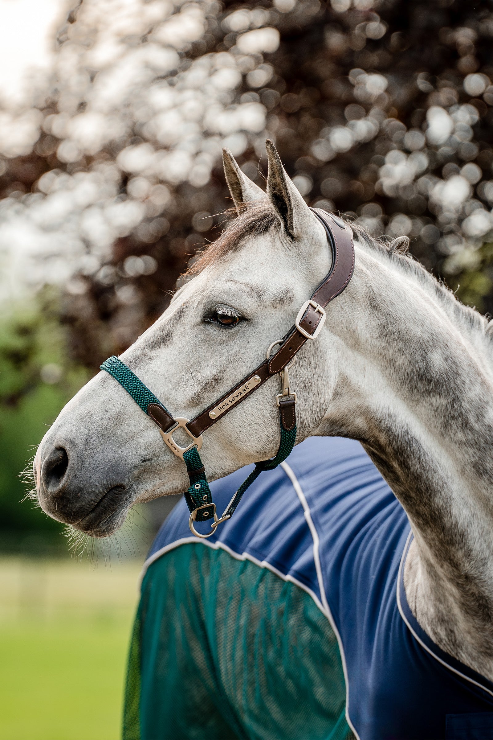 Horseware Signature fonott tartó Kötofékek & Vezetoszárak