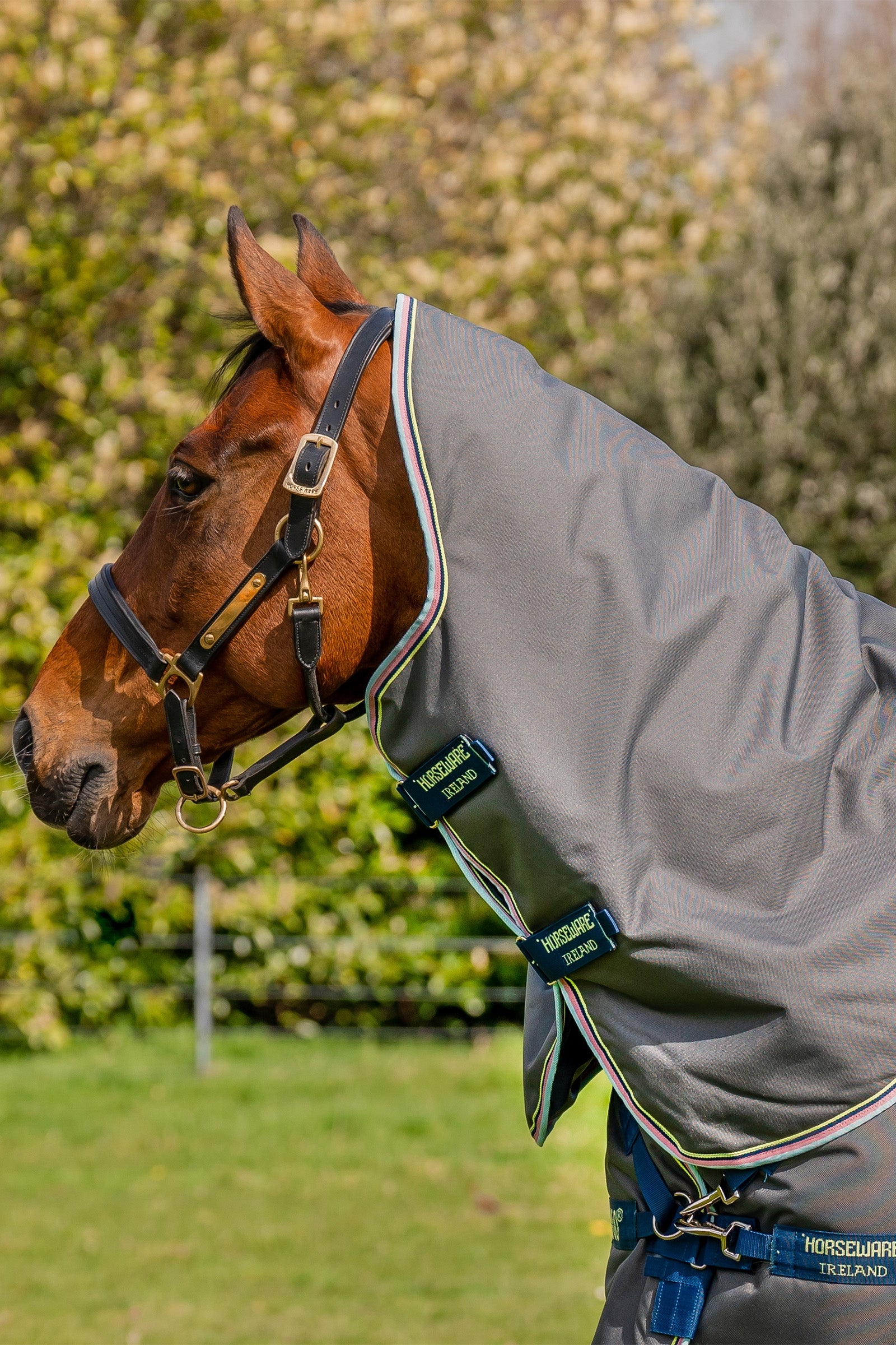 Horseware Amigo Bravo 12 Plus Turnout Rug, 250 g Horse Rugs
