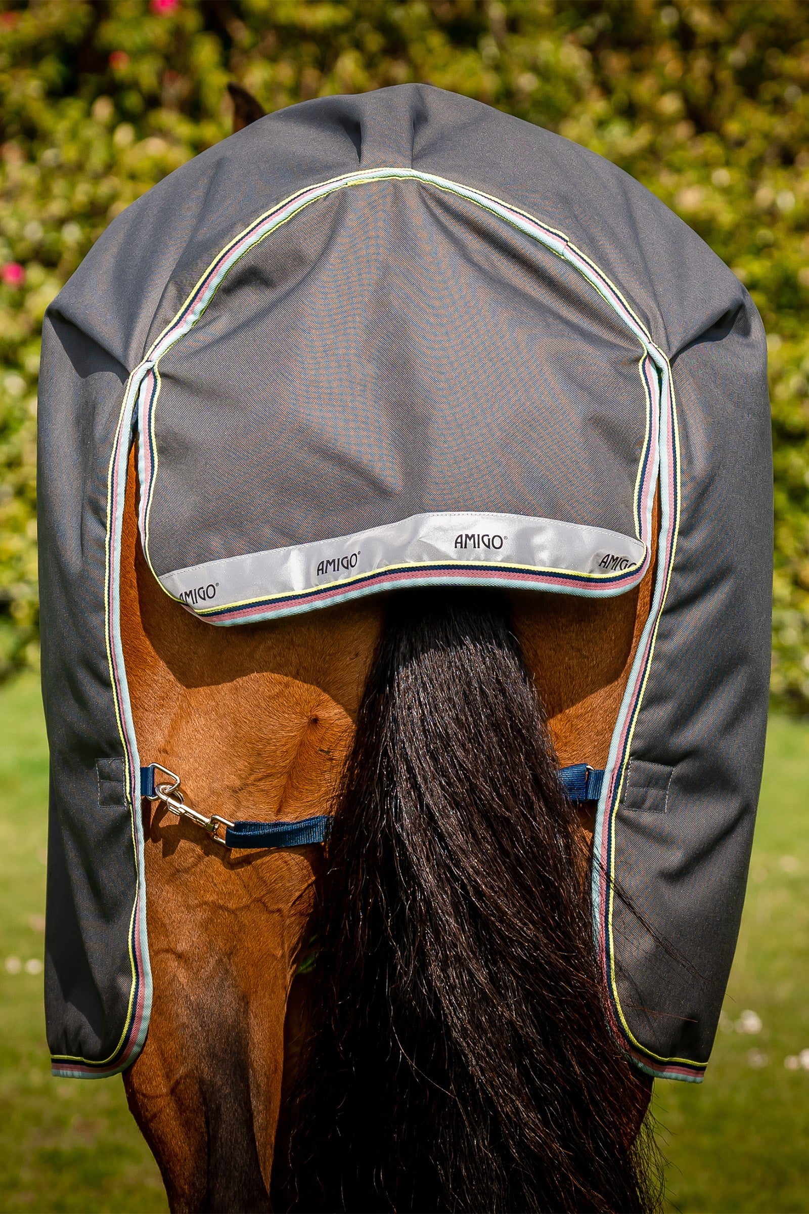 Horseware Amigo Bravo 12 Plus Turnout Rug, 250 g Horse Rugs