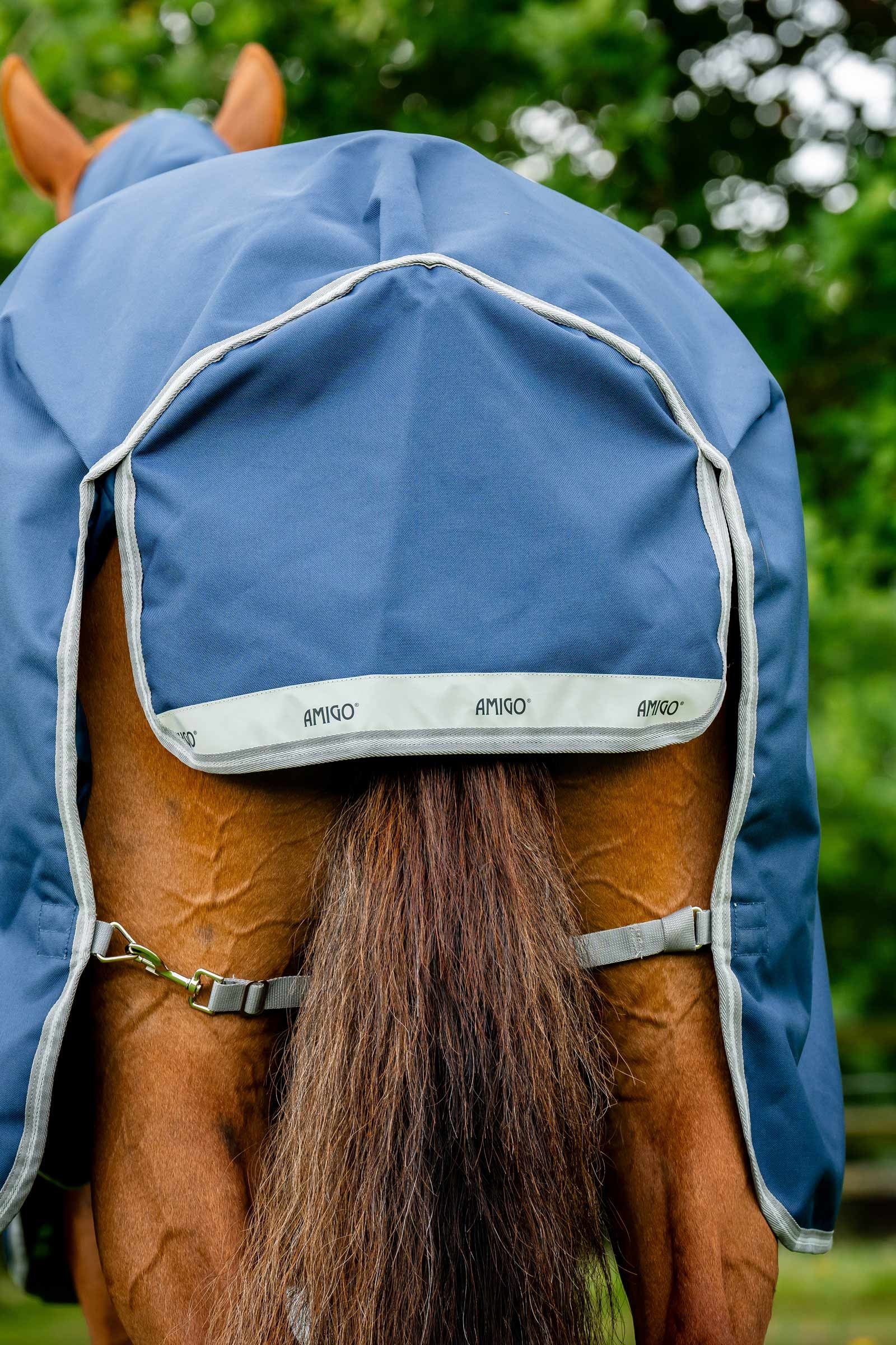 Horseware Amigo Bravo 12 Plus Turnout Rug, 250 g Horse Rugs