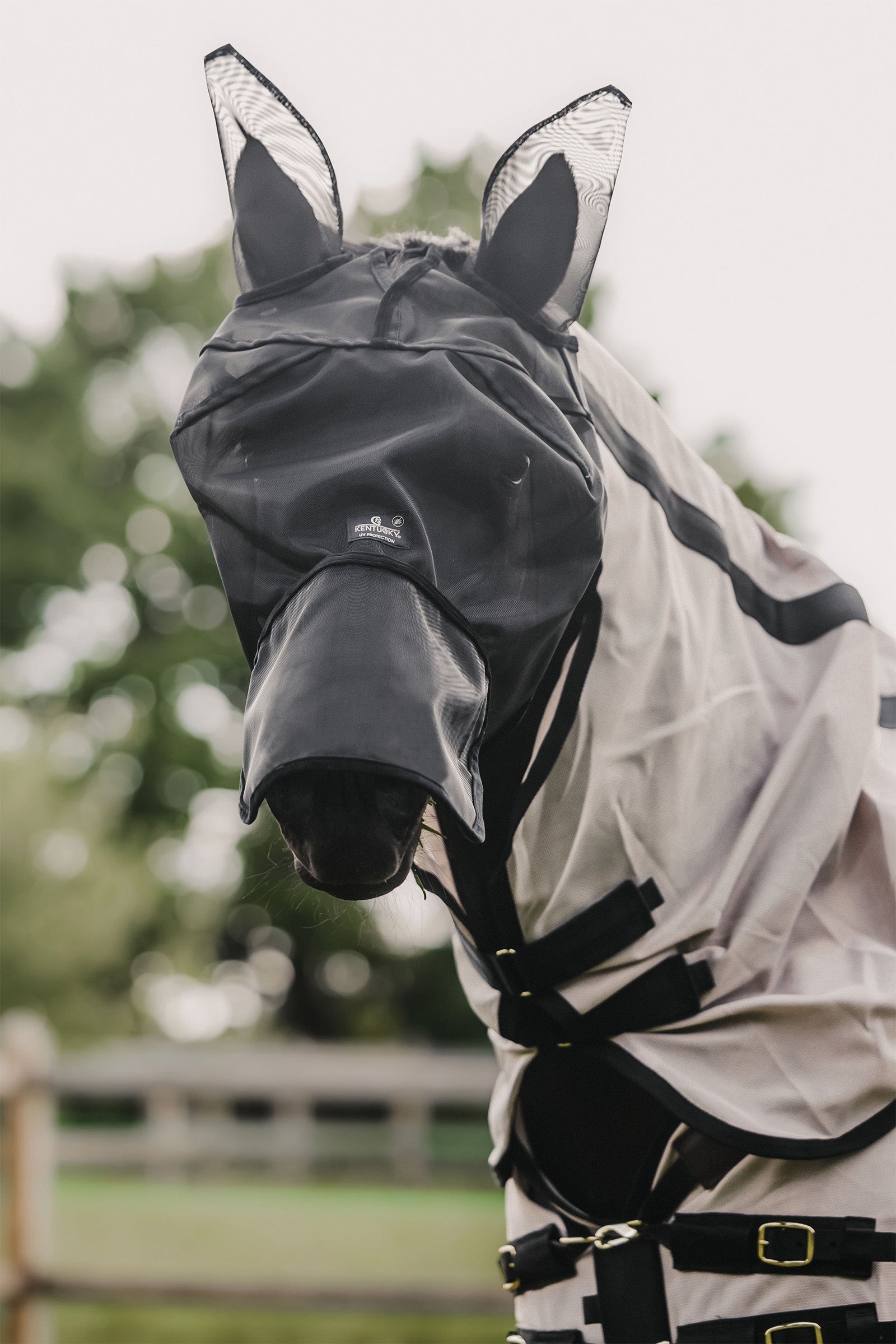 Kentucky Horsewear Classic Légymaszk Fül- és orrésszel Légy Elleni Védelem Lovaknak