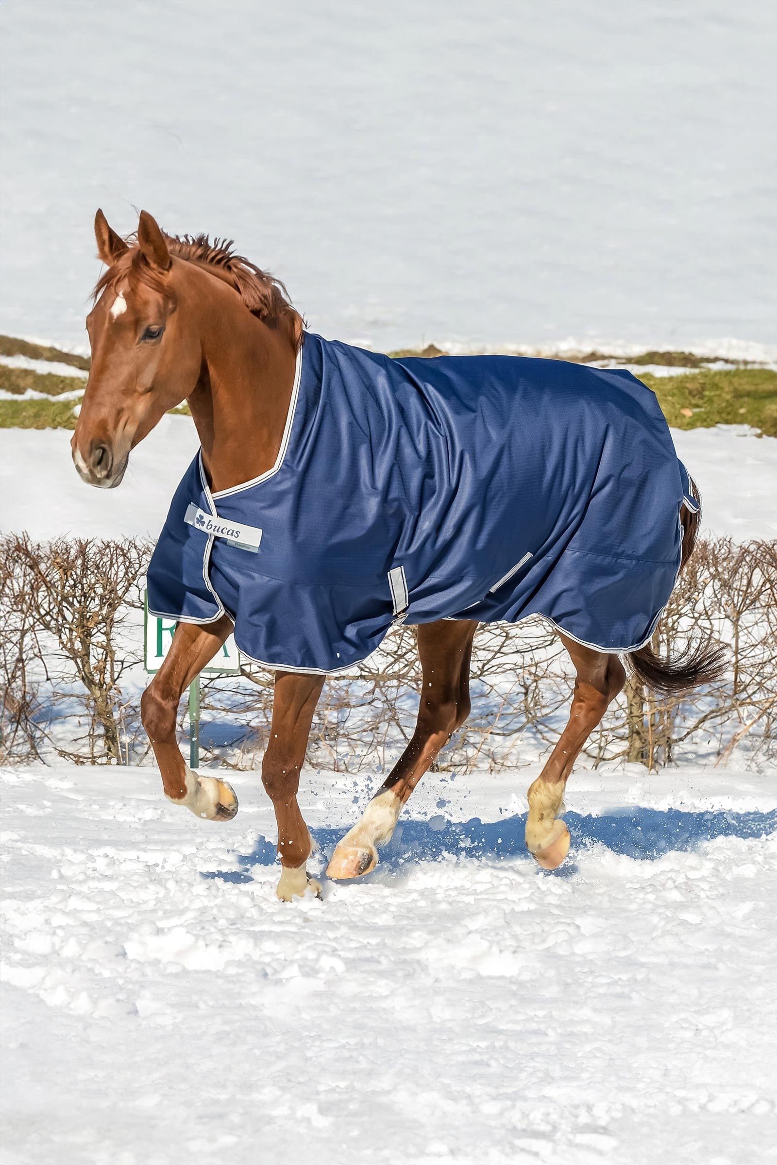 Bucas Freedom High Neck Turnout Rug, 150g Horse Rugs