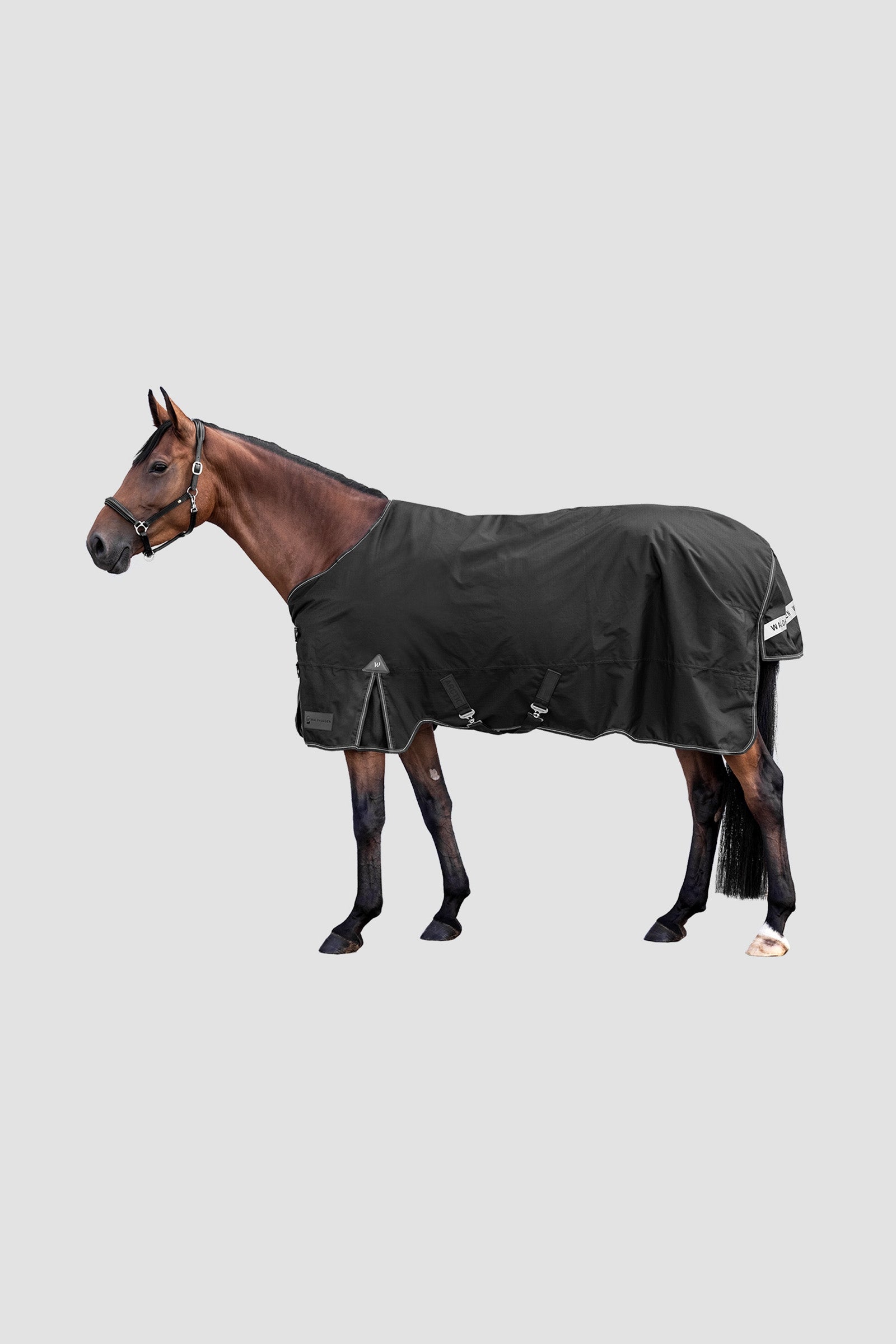 Waldhausen Arctic Outdoor Rug, 100 g Lótakarók