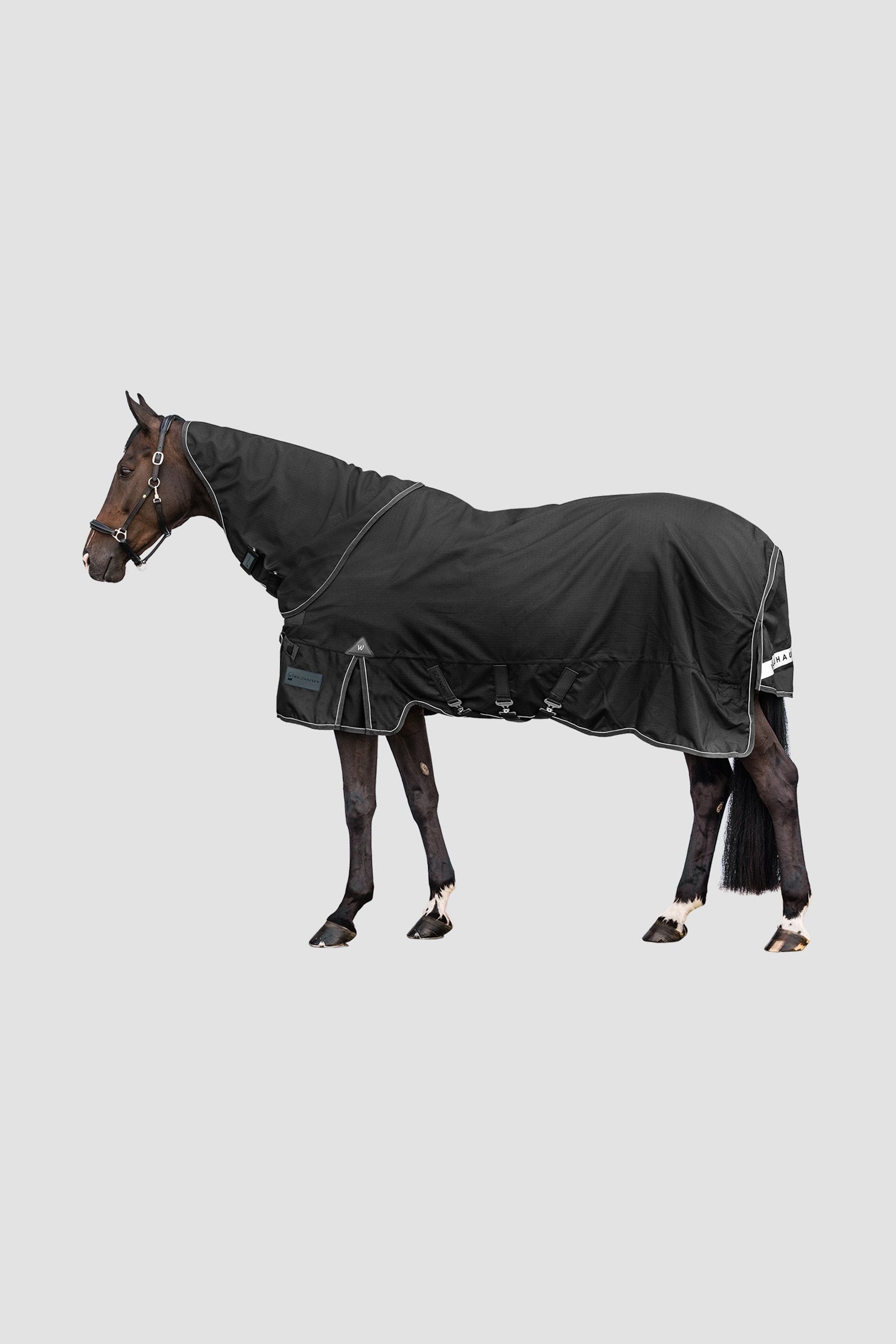 Waldhausen Outdoor Neck Rug Scandic 200 g Horse Rugs