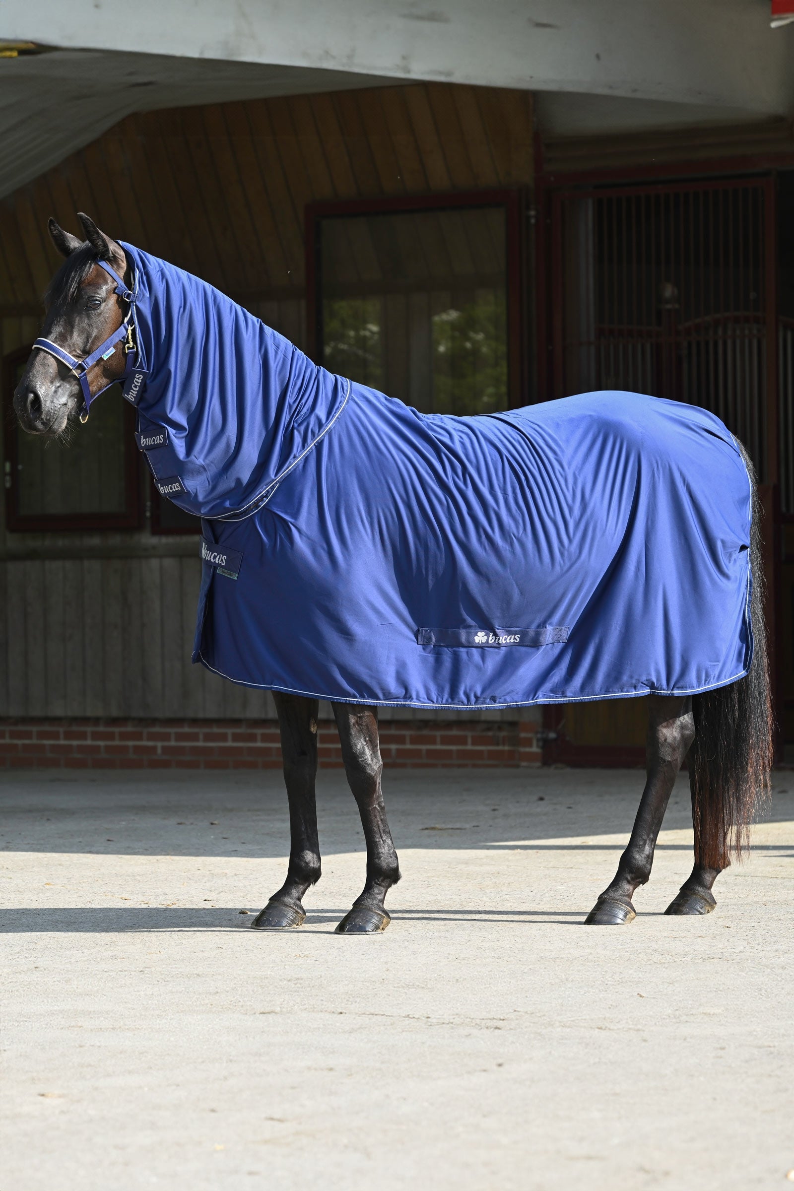 Bucas Power Cooler + Neck Set Horse Rugs