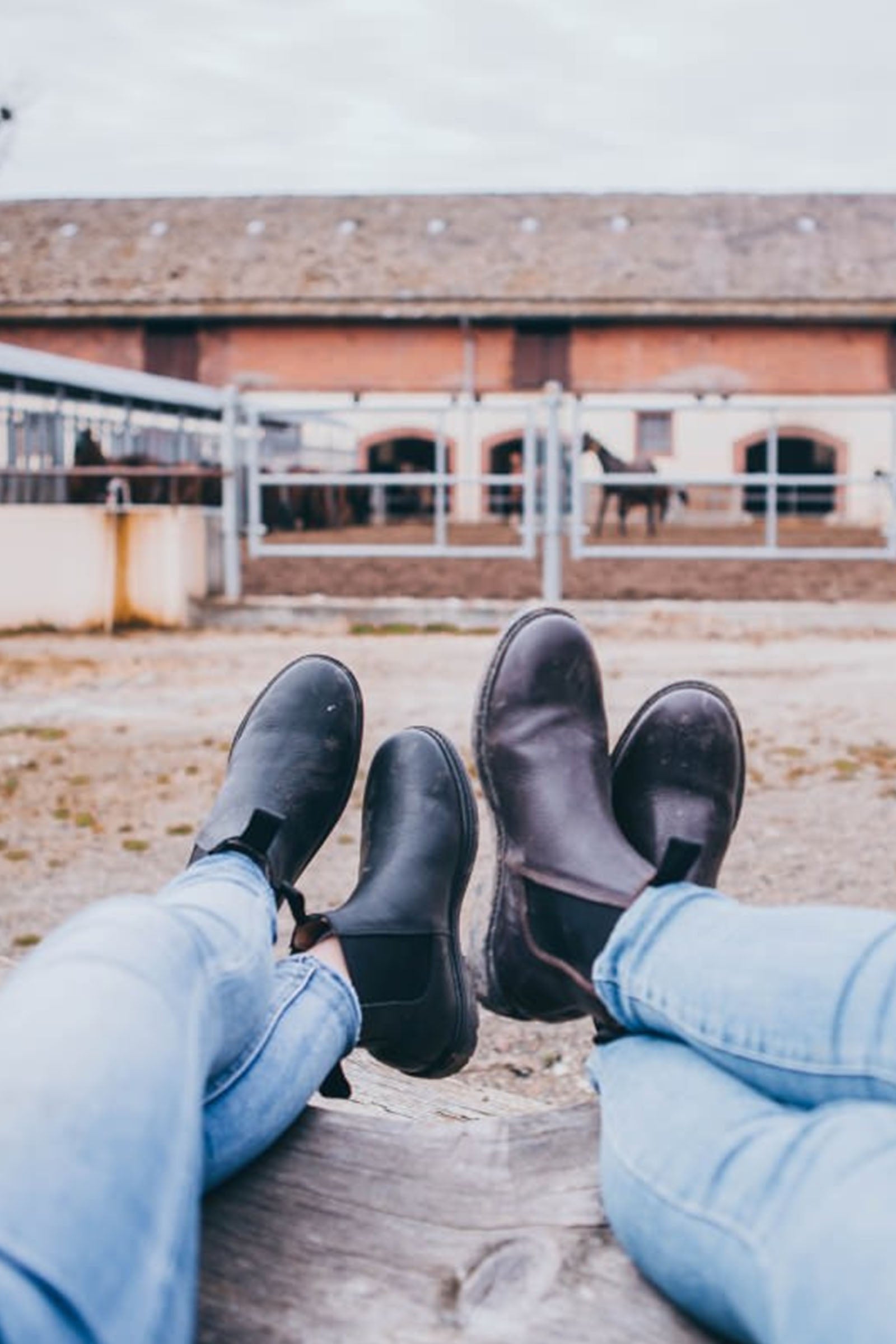 Suedwind Footwear 1888 Chelsea Jodhpur Boots Riding Boots & Riding Shoes