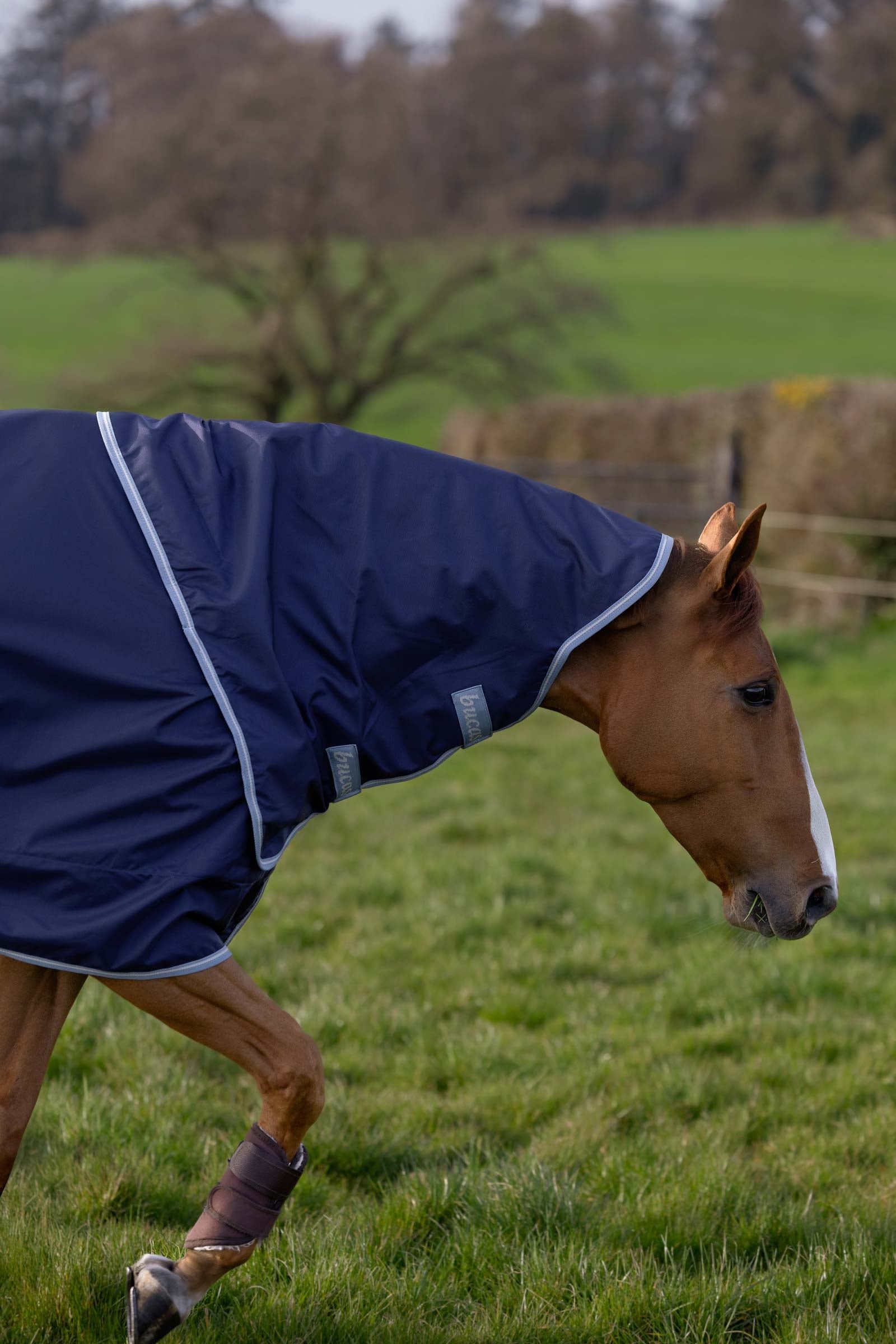 Bucas Atlantic Exclusive Rug & Neck Set Horse Rugs