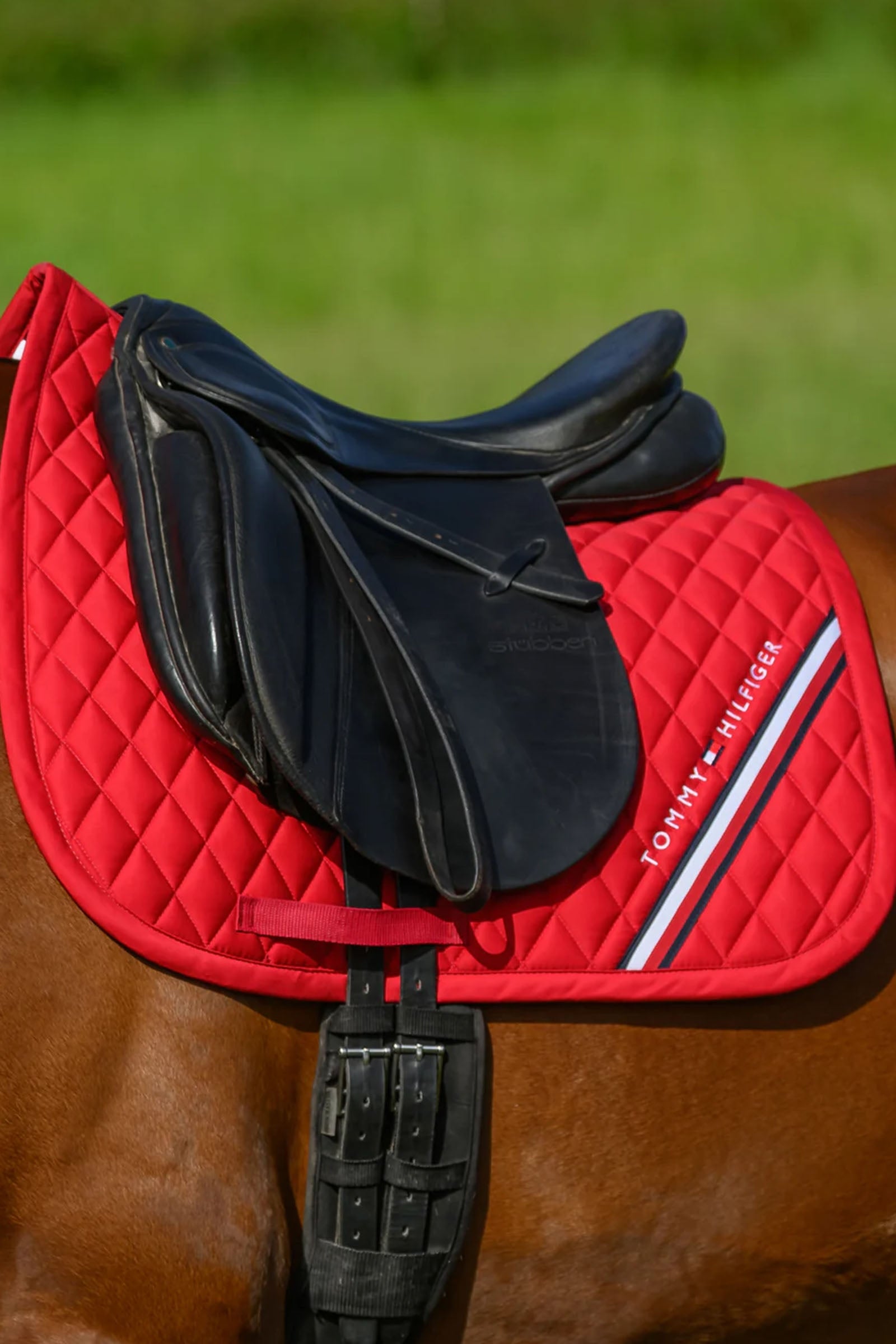 Tommy Hilfiger Equestrian Stanford Dressage Saddlepad Saddle Pads