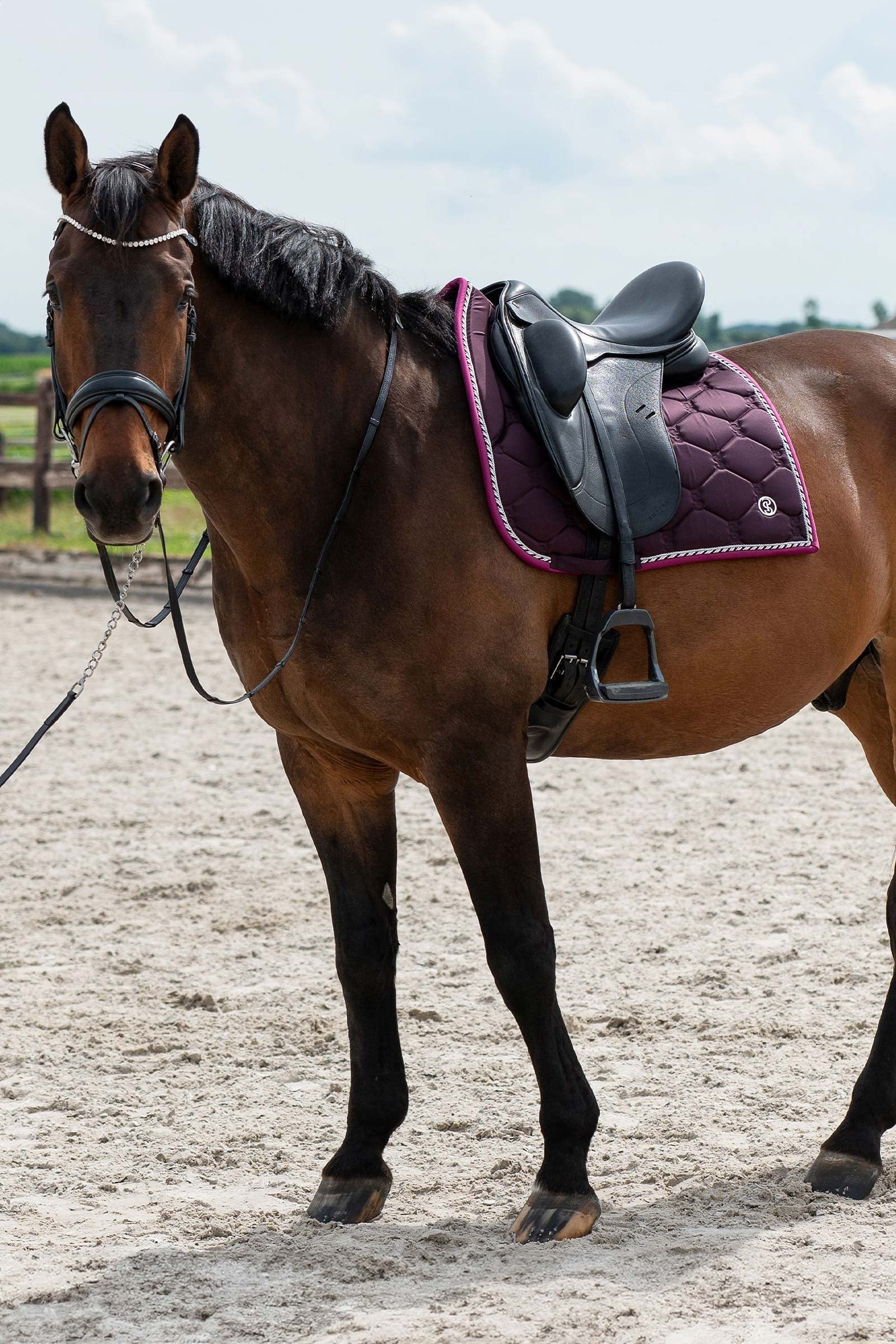 PS of Sweden Saddle Pad Dressage Signature Saddle Pads