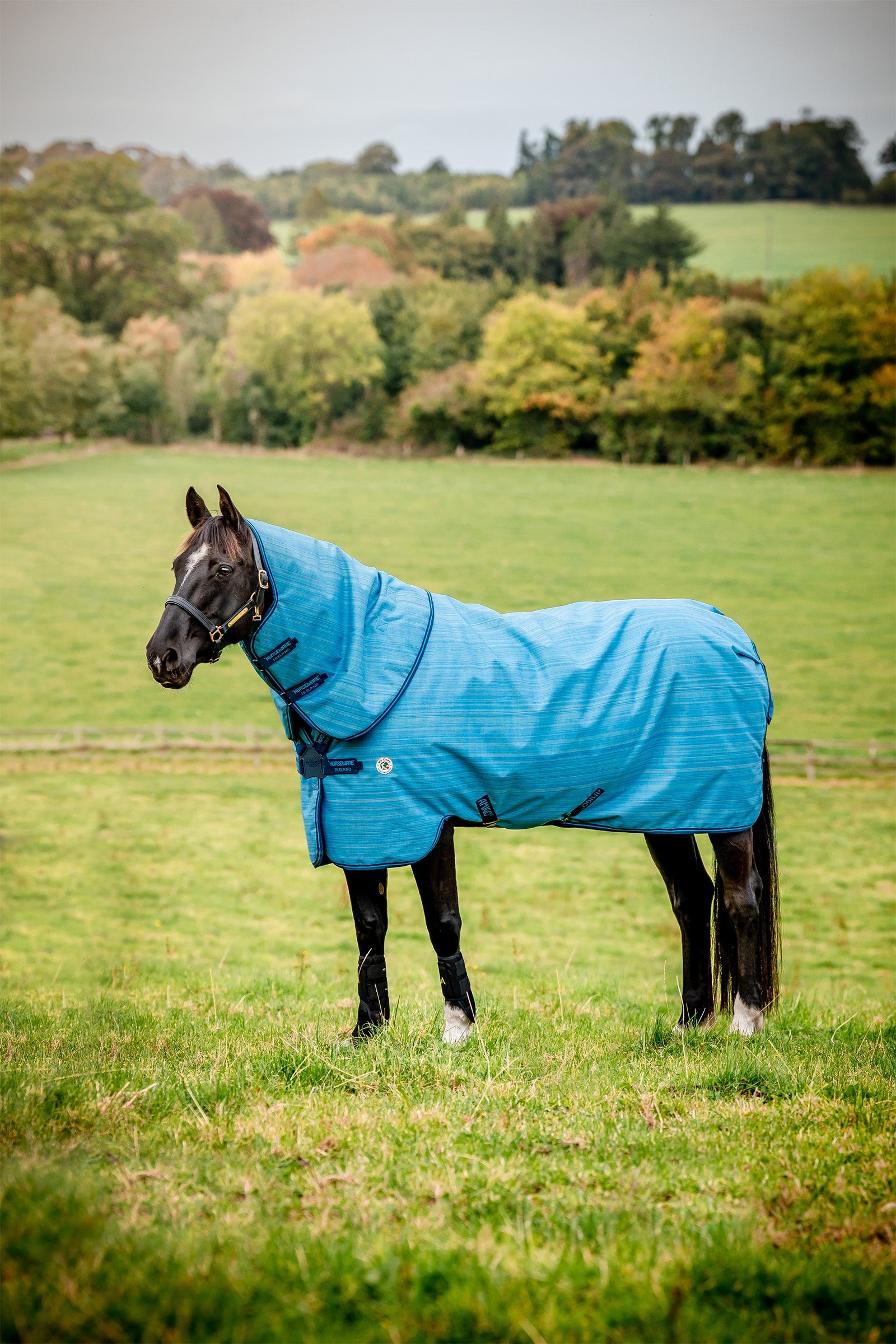 Horseware Amigo Hero 900 Revive Plus kültéri takaró levehető nyakkal, 50 g Lótakarók