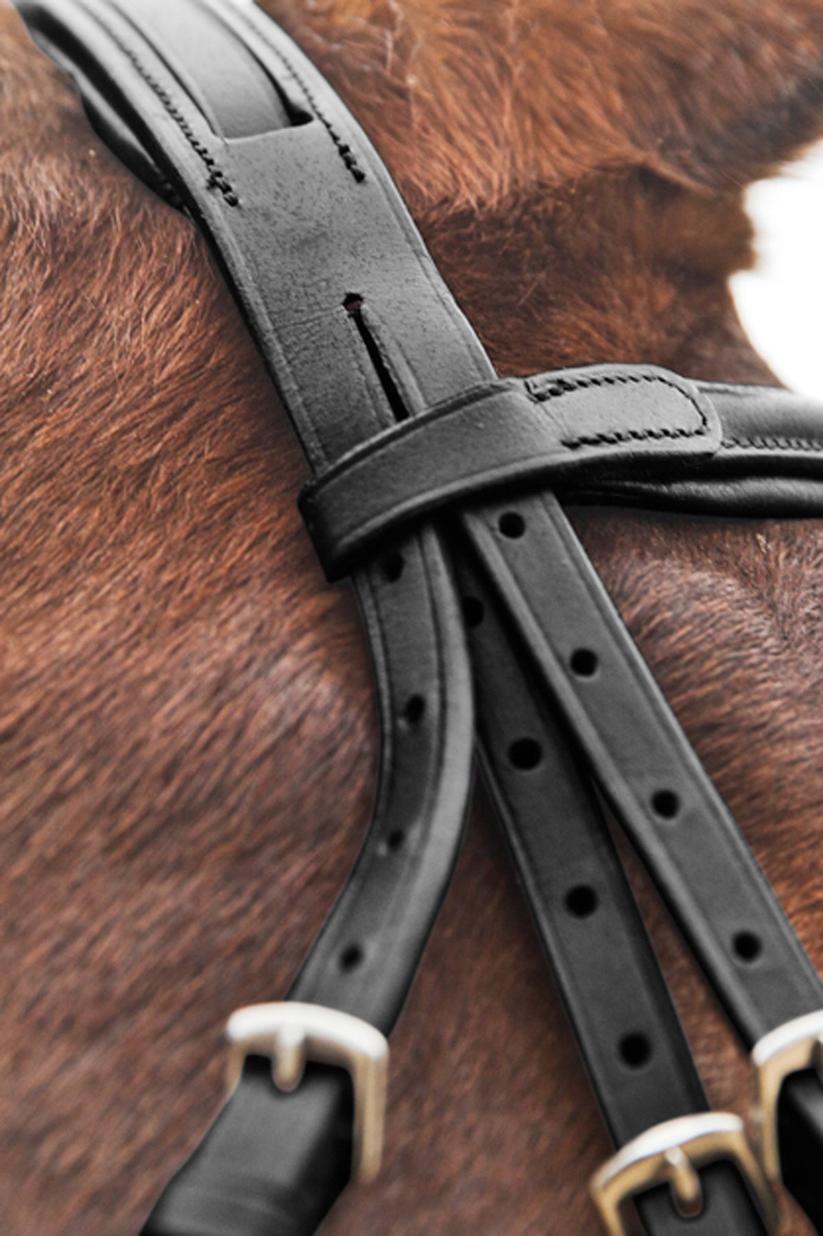Horze Prescott Mexican Noseband Bridle Bridles & Reins