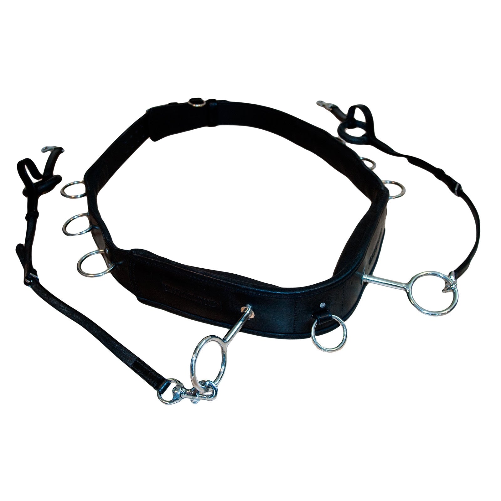 Karlslund Lunging kerület Lókiképzés