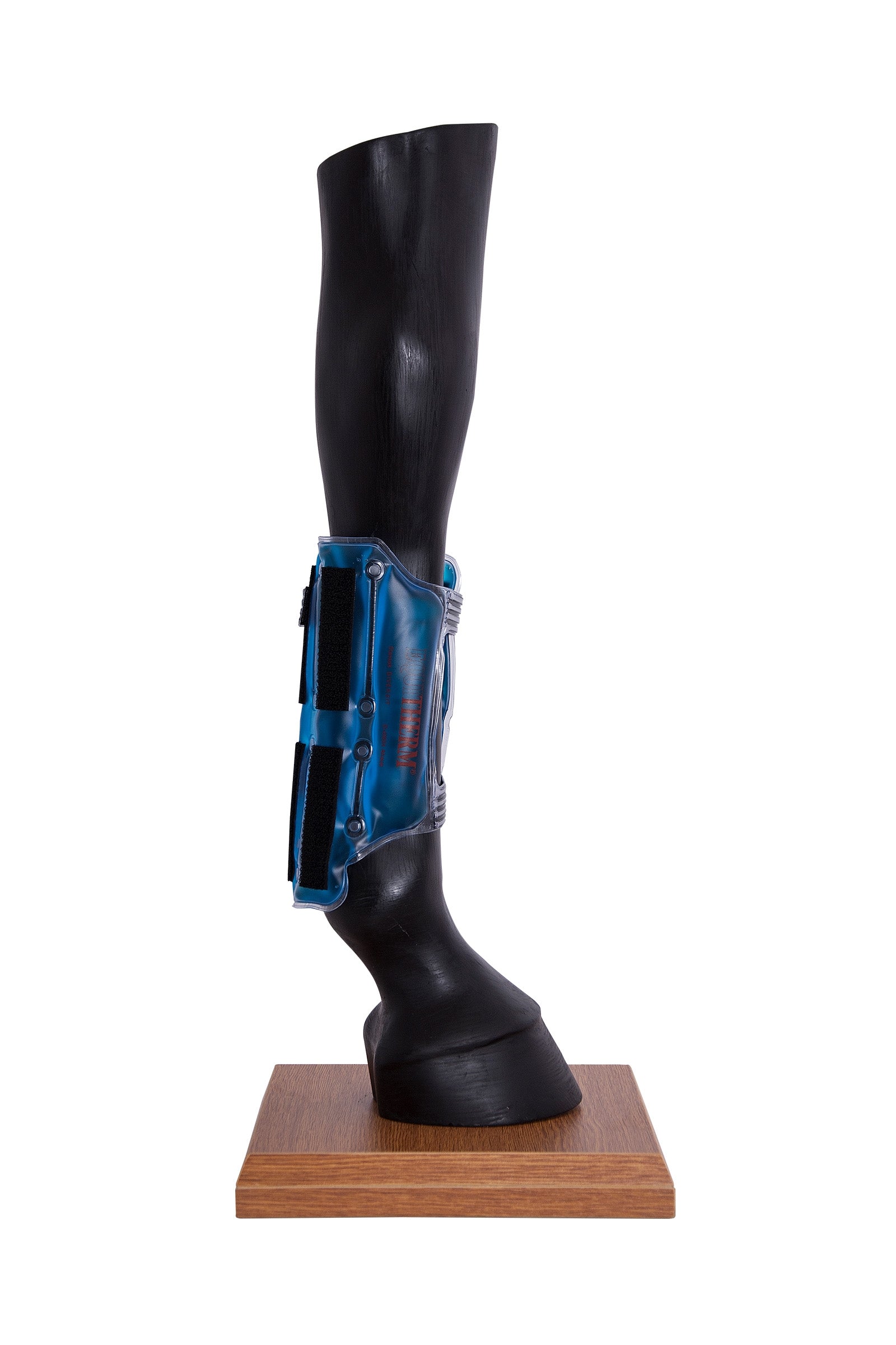 Stassek Equitherm Thermal Wrap víz nélküli hűtéshez és fűtéshez Leg Protection & Hoof Protection for Horses