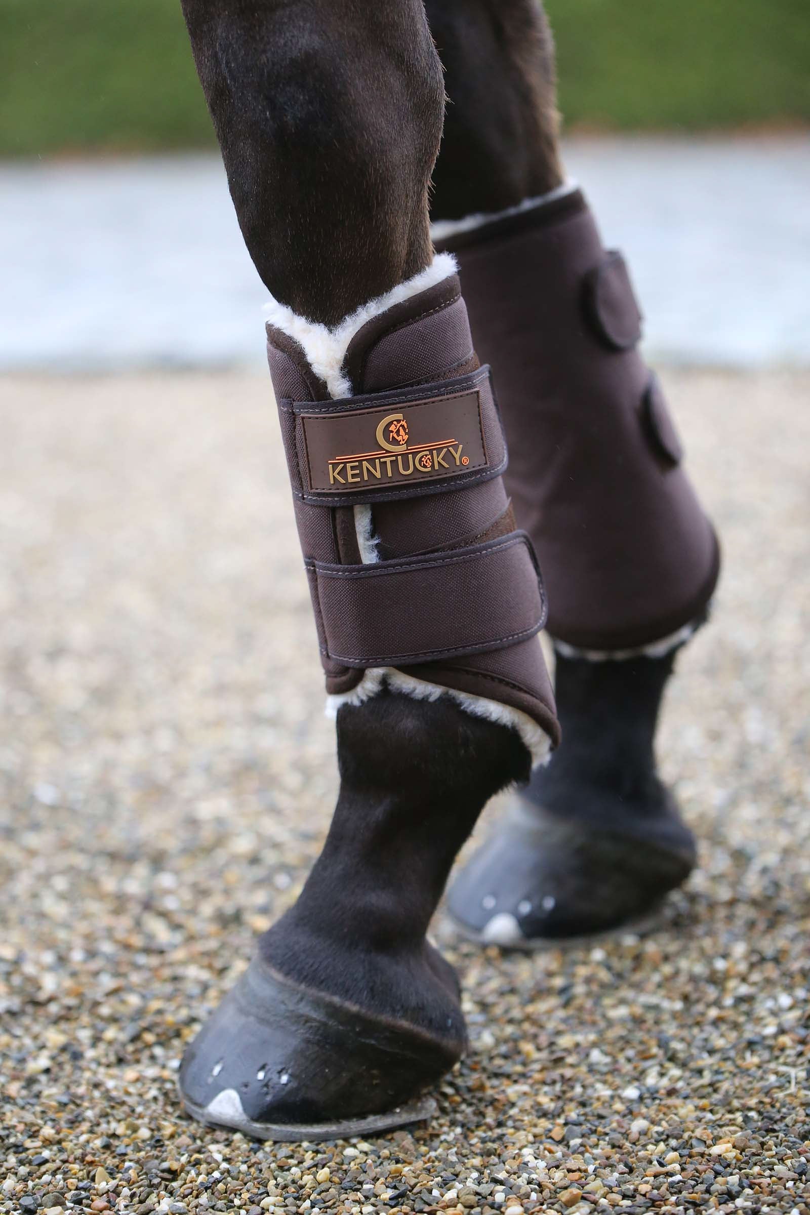 Kentucky Horsewear Solimbra Turnout csizma, elöl Leg Protection & Hoof Protection for Horses