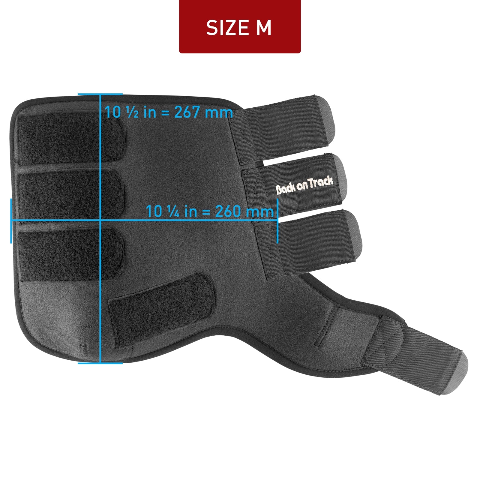 undefined Back On Track Exercise Boots, Front Leg Protection & Hoof Protection for Horses