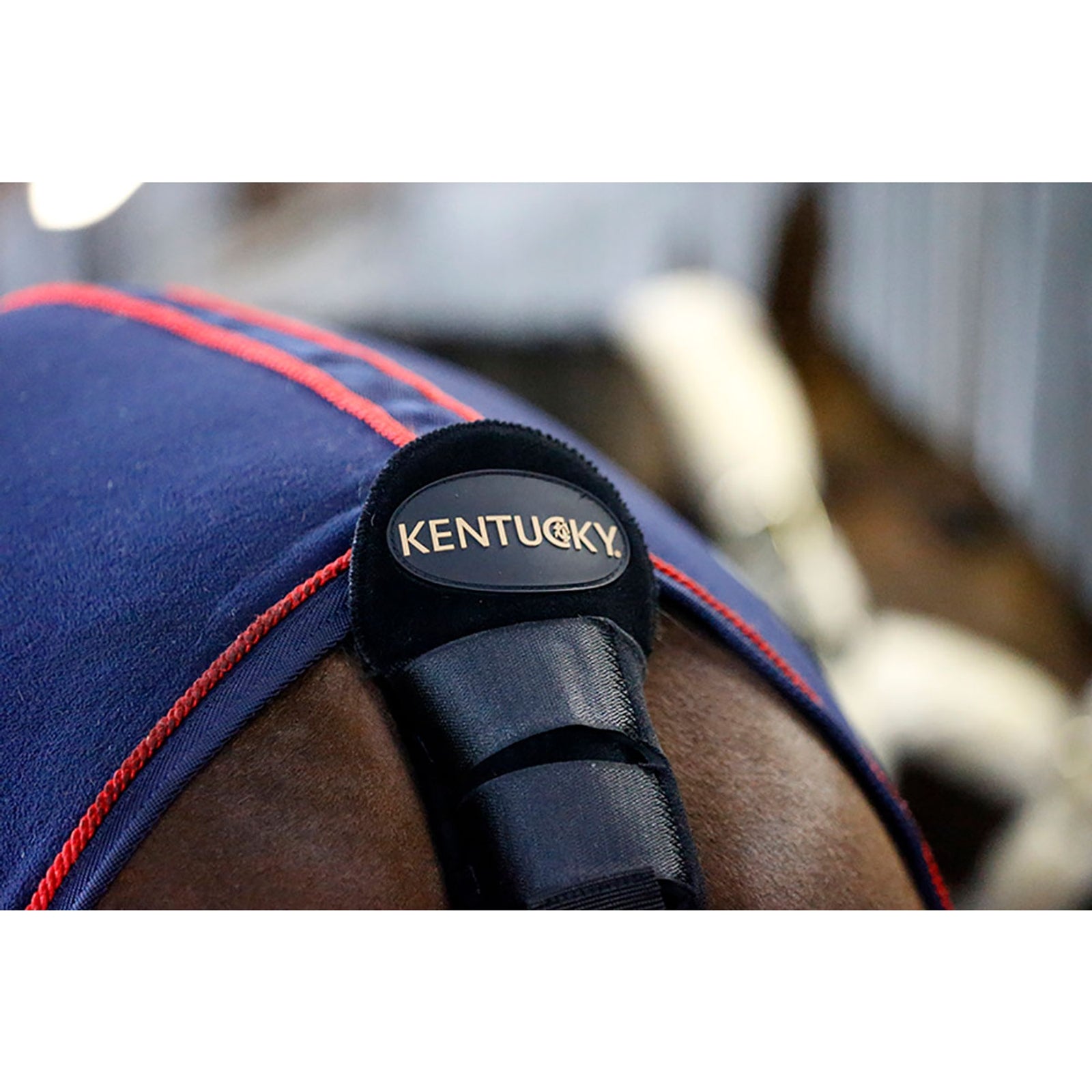 Kentucky Horsewear Tail Guard / Tail Bag Leg & Hoof Protection