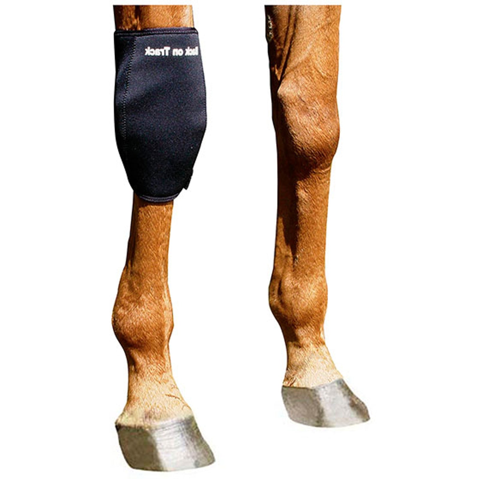 Back on Track Back On Track Lábtővédő, Jobb Leg Protection & Hoof Protection for Horses