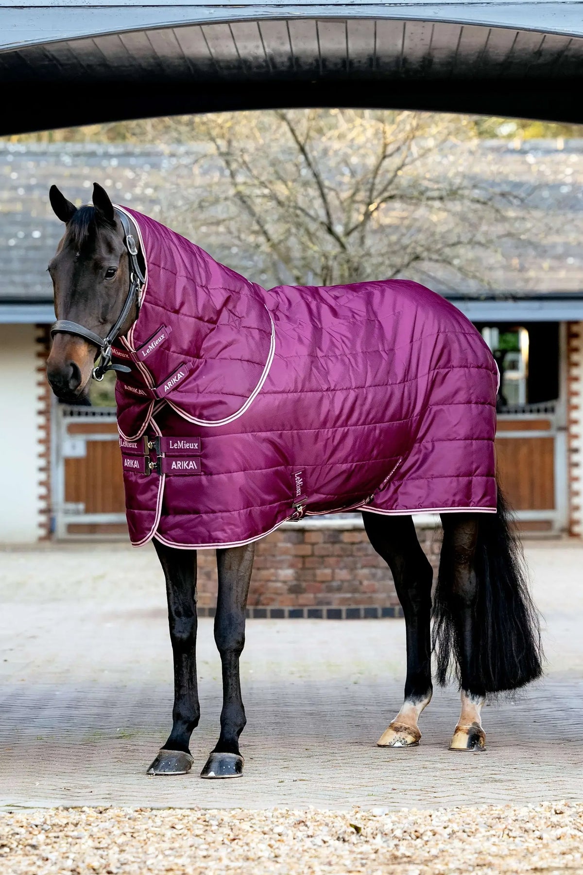 LeMieux Arika Stable-Tek With Neck, 200 g Horse Rugs
