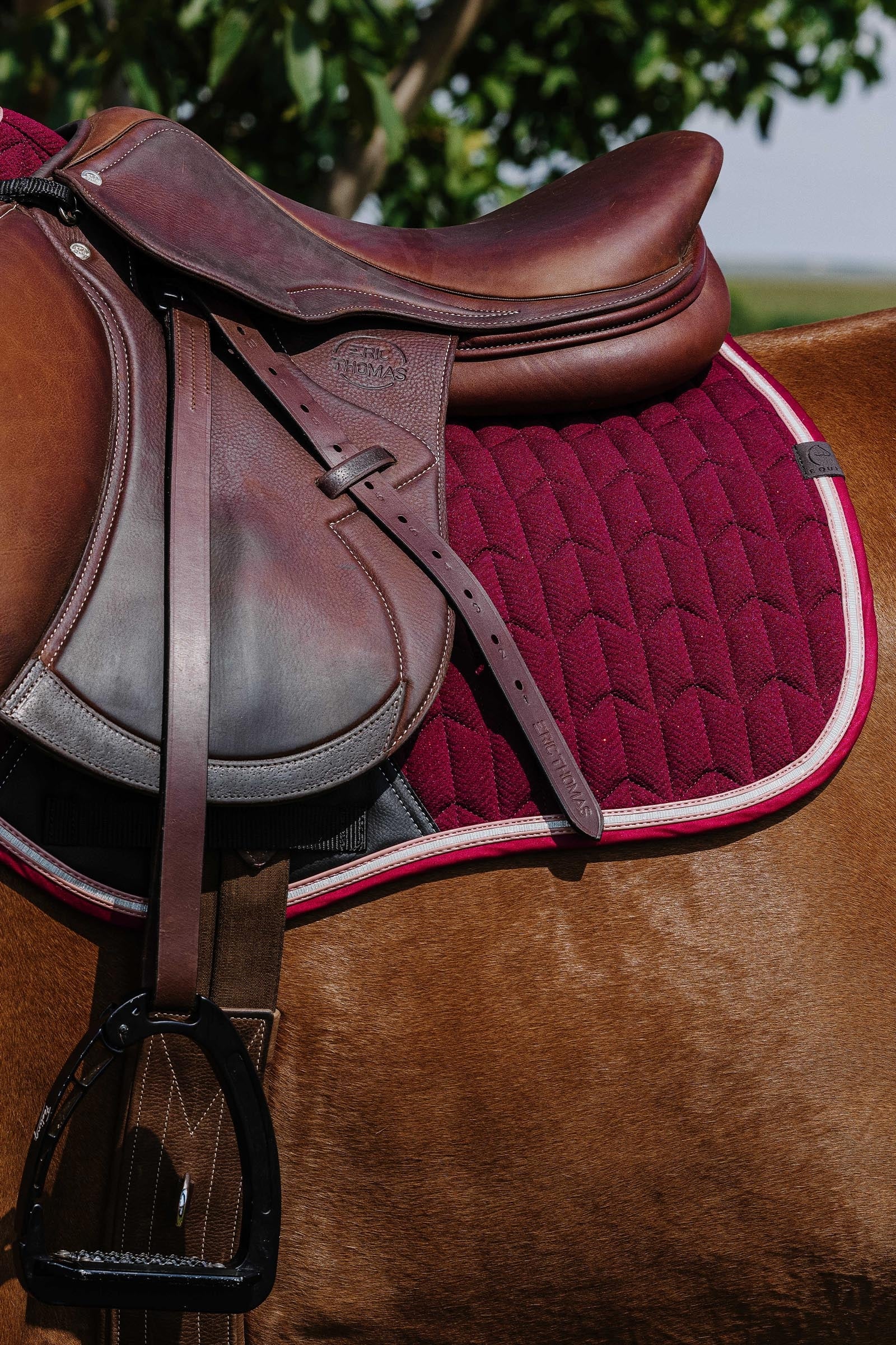 EQUITHÈME Eclat Saddle Pad Saddle Pads