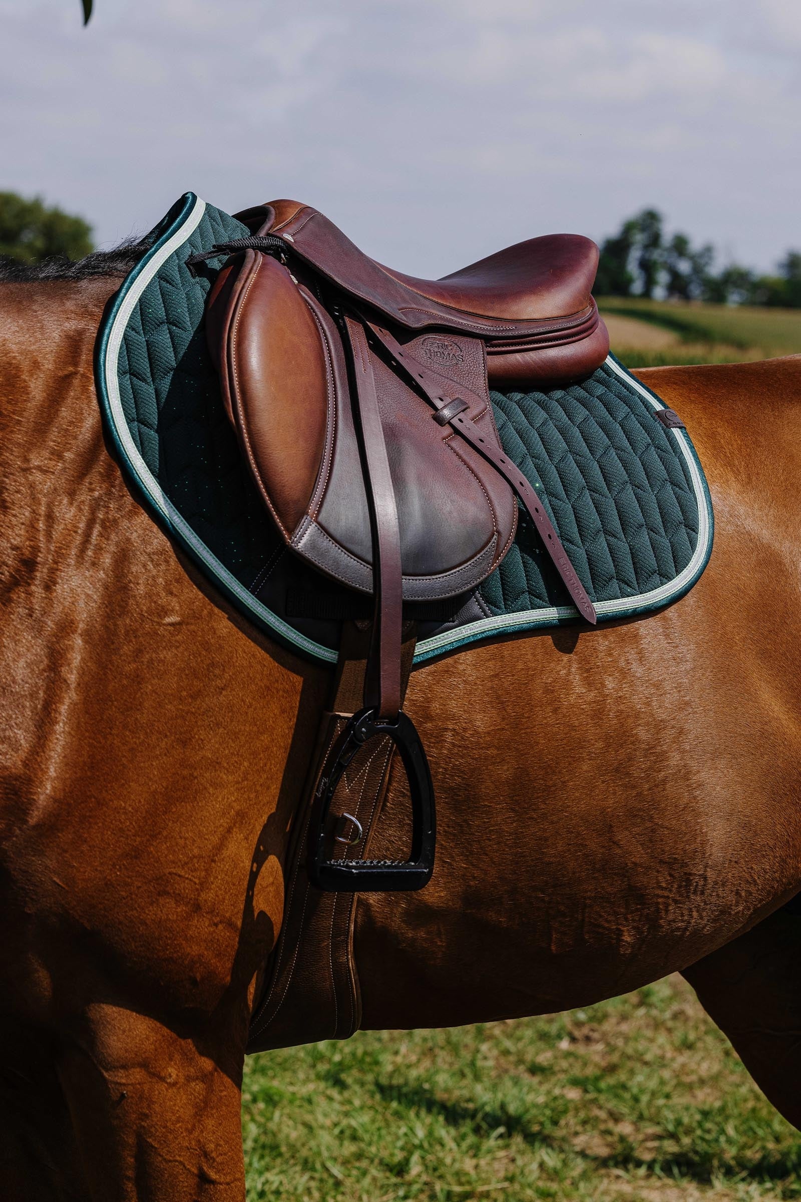 Equi Theme EQUITHÈME Eclat Saddle Pad Saddle Pads