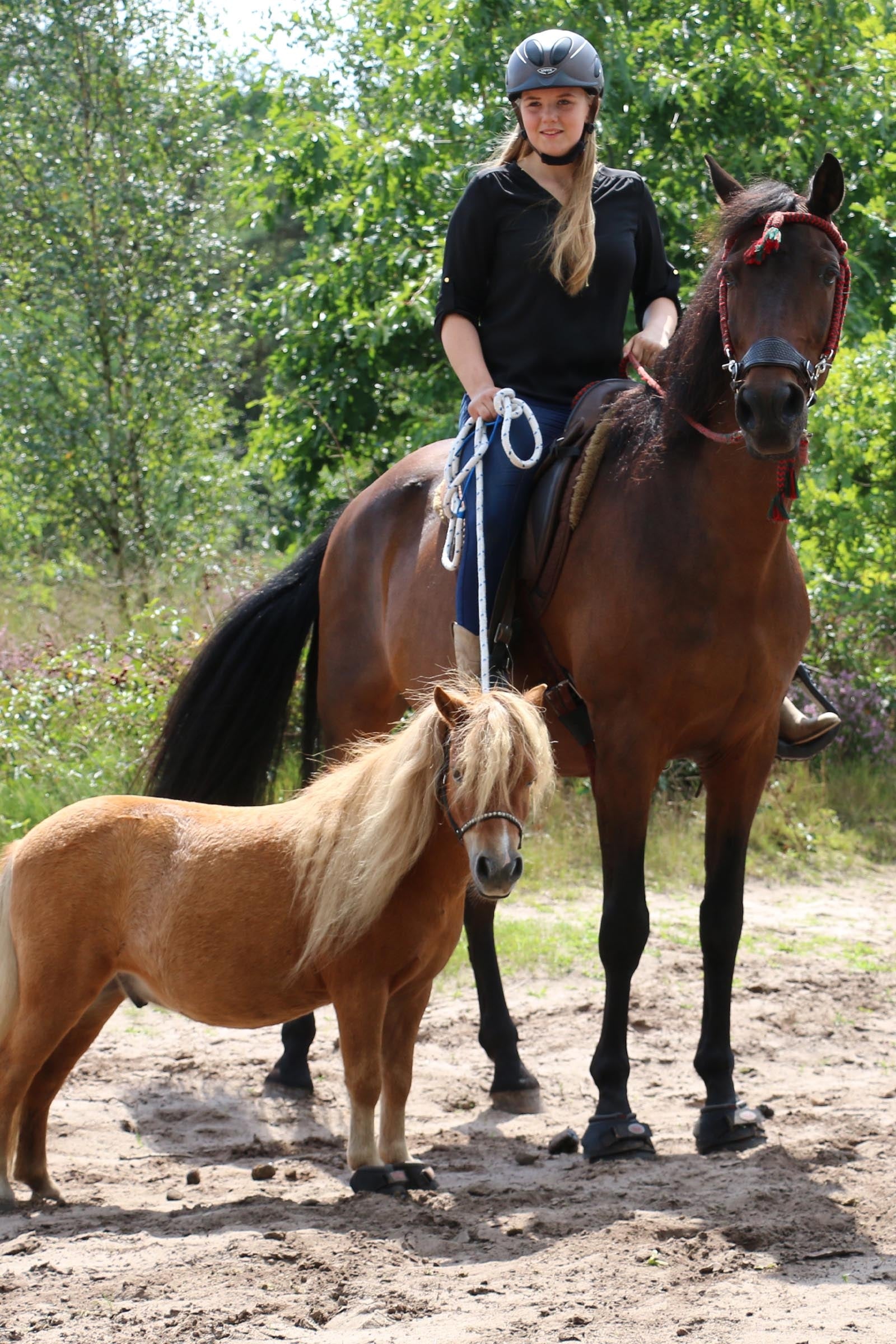 Cavallo Hoof Boots F.R.A. CLB Hoof Boots (regular/pair) Leg Protection & Hoof Protection for Horses