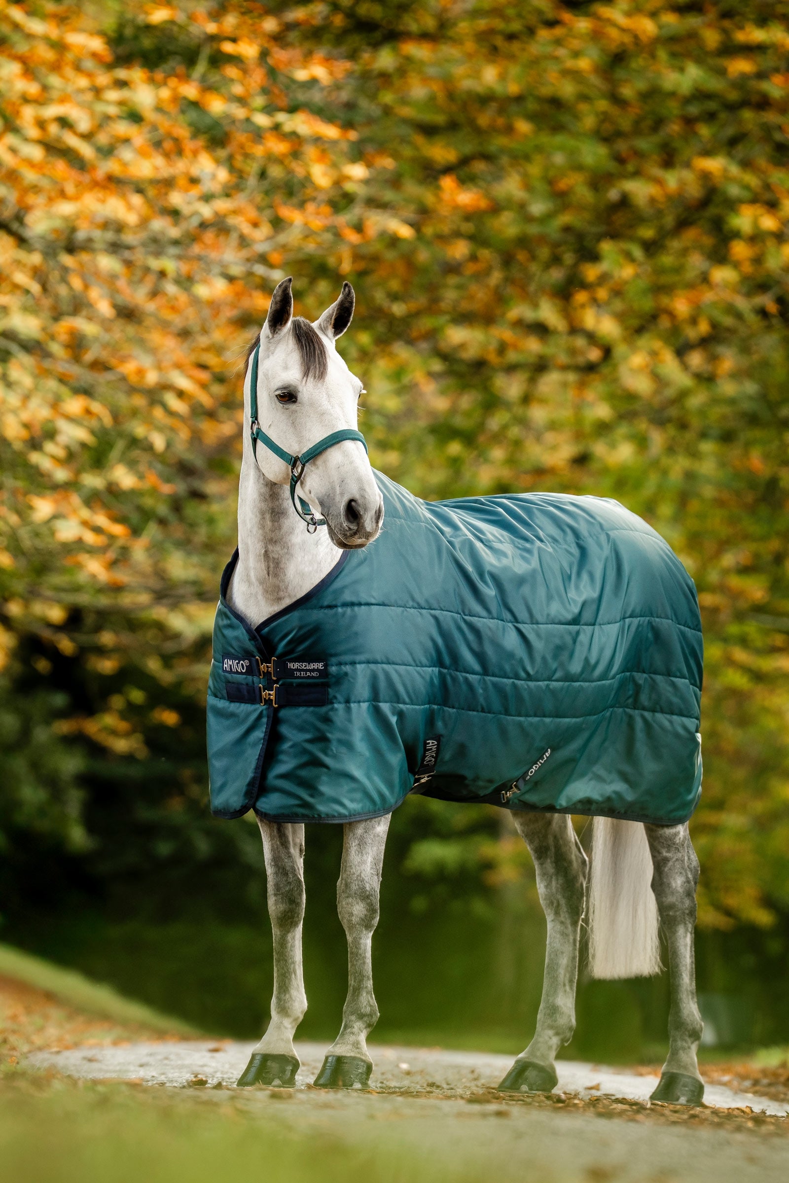 Horseware Amigo Ripstop istállótakaró, 350 g töltettel Lótakarók