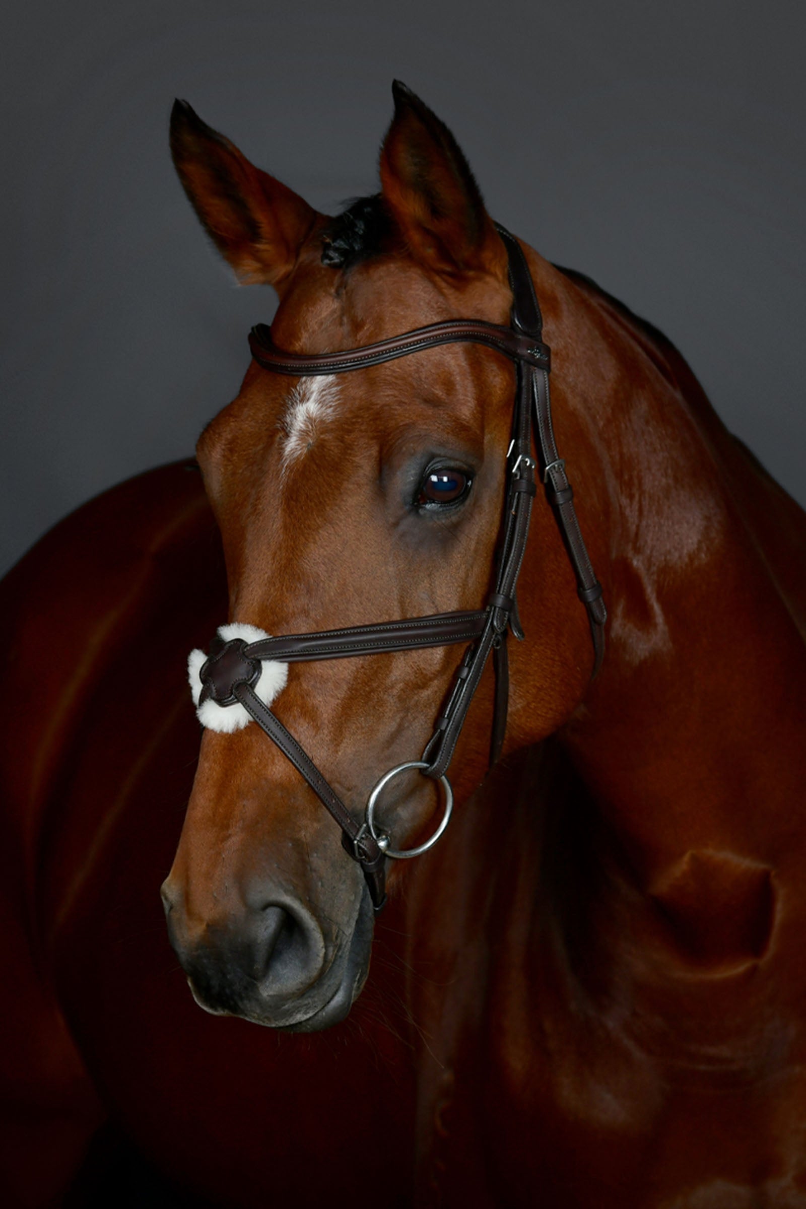 Collegiate Comfitec Opulux egyszerű, párnázott kantár mexikói orrszíjjal Kantárok & Szárak