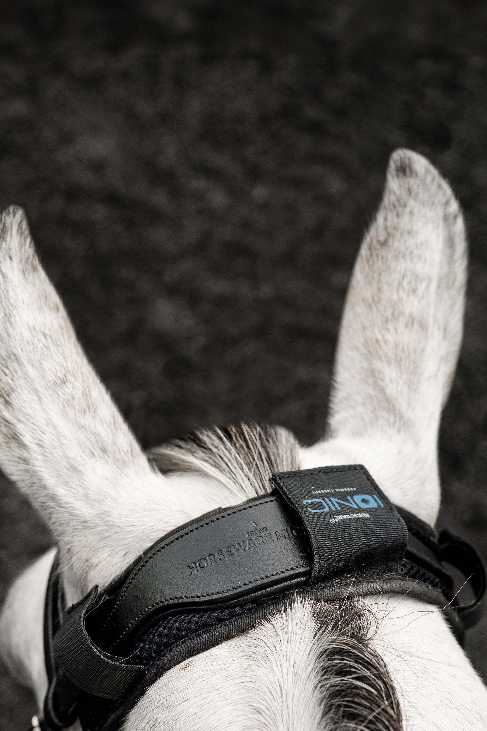Horseware Ionic tarkóvédő Légy Elleni Védelem Lovaknak